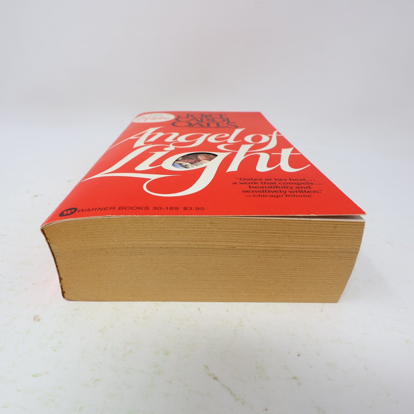 1982 Angel of Light Joyce Carol Oates Warner Historical Fiction Thriller Book PB