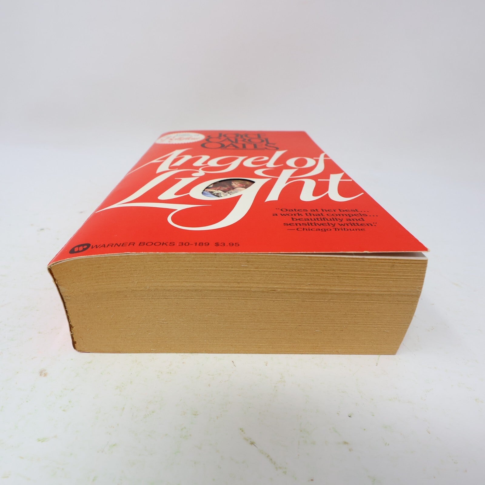 1982 Angel of Light Joyce Carol Oates Warner Historical Fiction Thriller Book PB