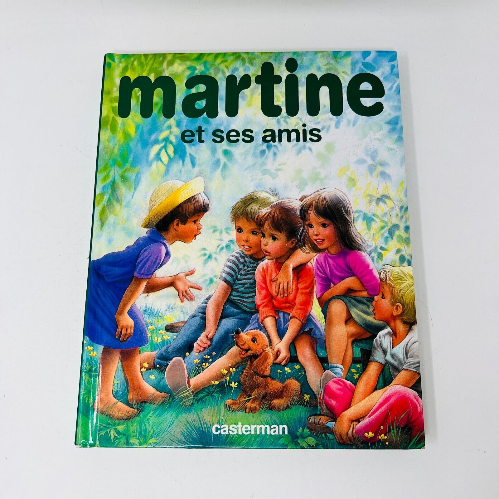 5x Martine Lot d'Omnibus Casterman 32 Histoires au Total Delahaye/Marcel Marlier