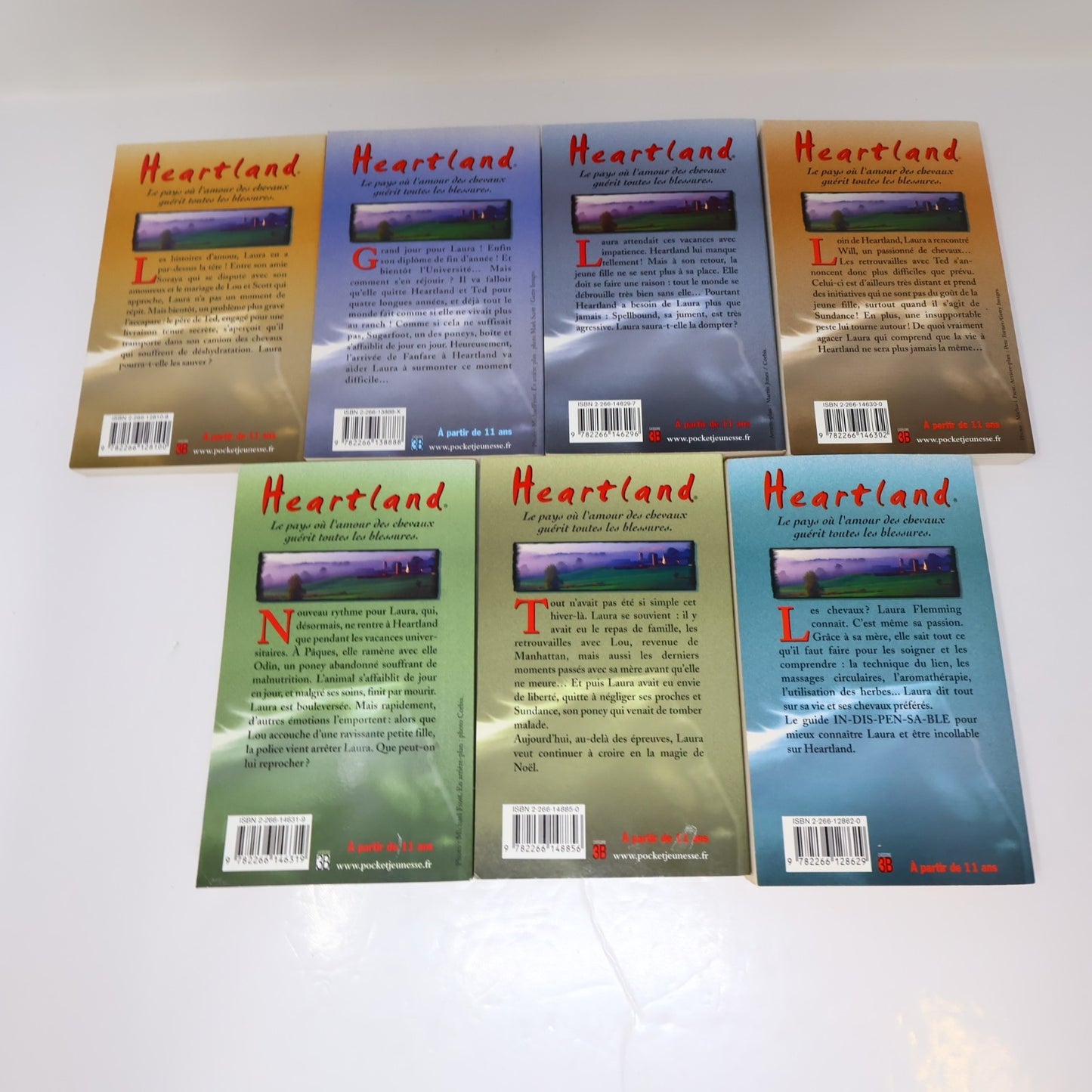 Heartland Lot 19 Livres Lauren Brooke Pocket Je Reste!/Après l'Orage Chevaux PB