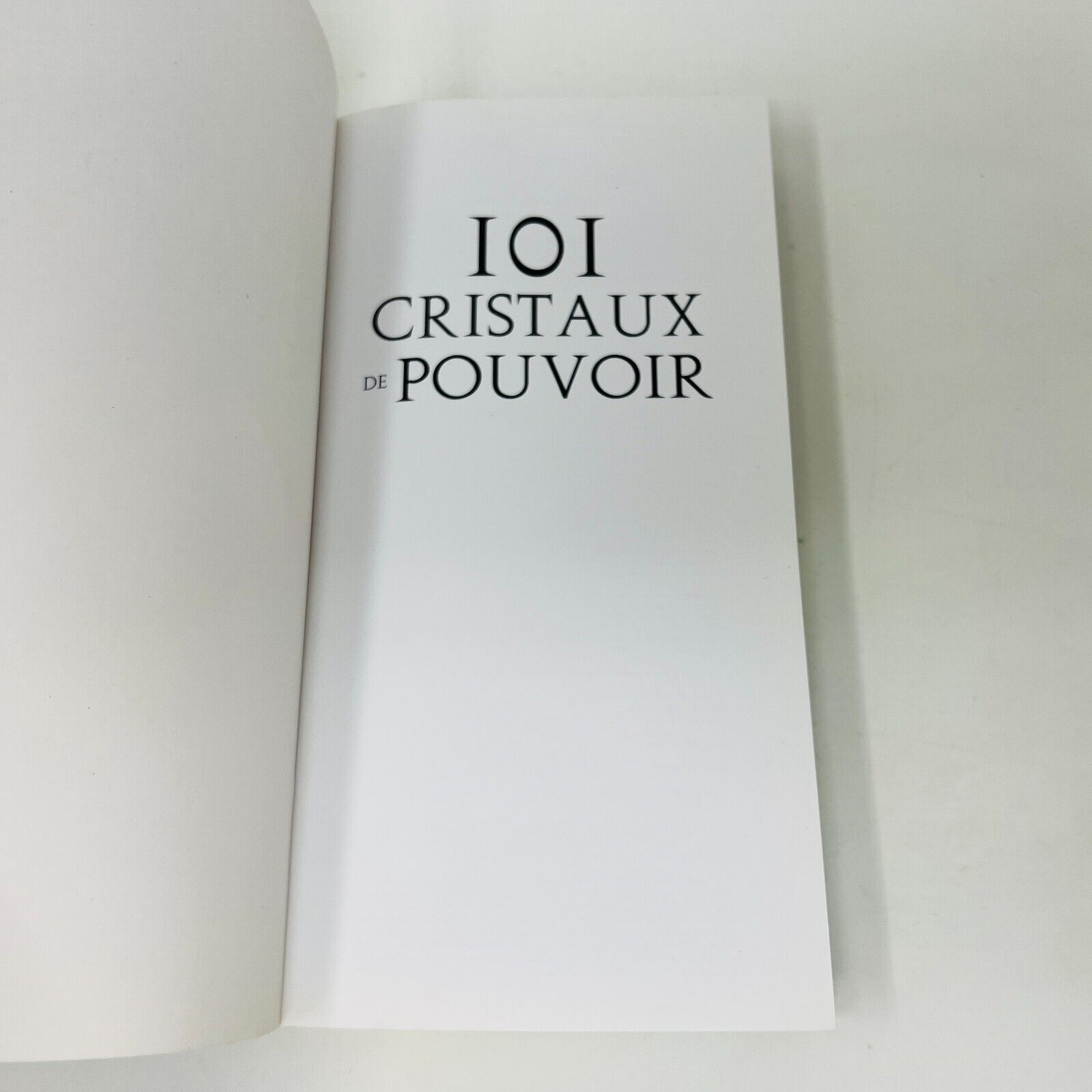 101 Cristaux de Pouvoir de Judy Hall en Français Guy Trédaniel Éditeur 2012