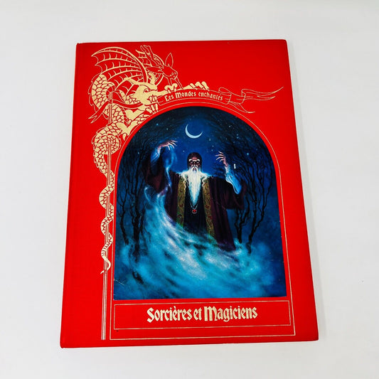 Dragons et Serpents/Sorcières Magiciens Lot Mondes Enchantés Time Life Français