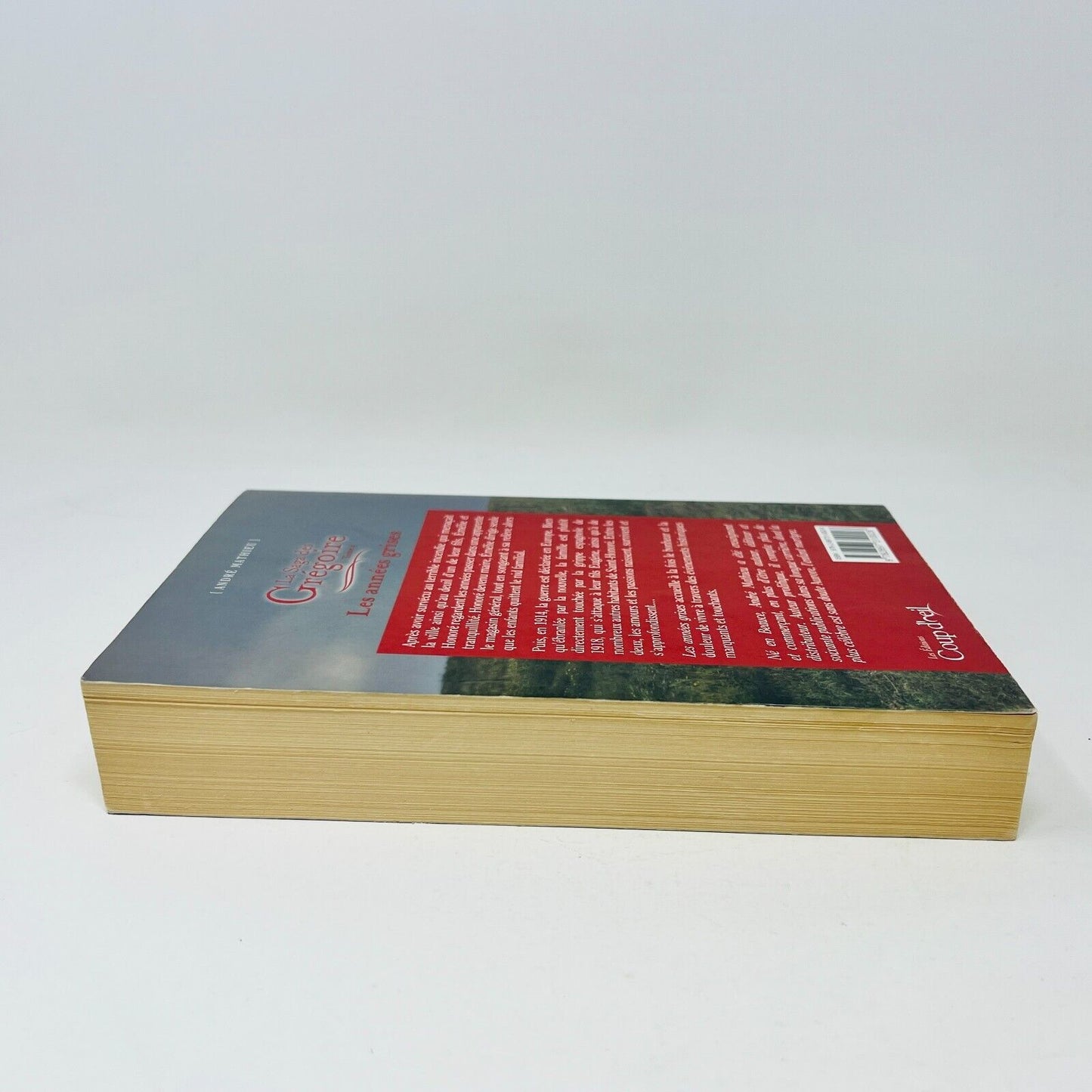 2012 La Saga des Grégoire #4 Les Années Grises de André Mathieu Coup d'Oeil PB