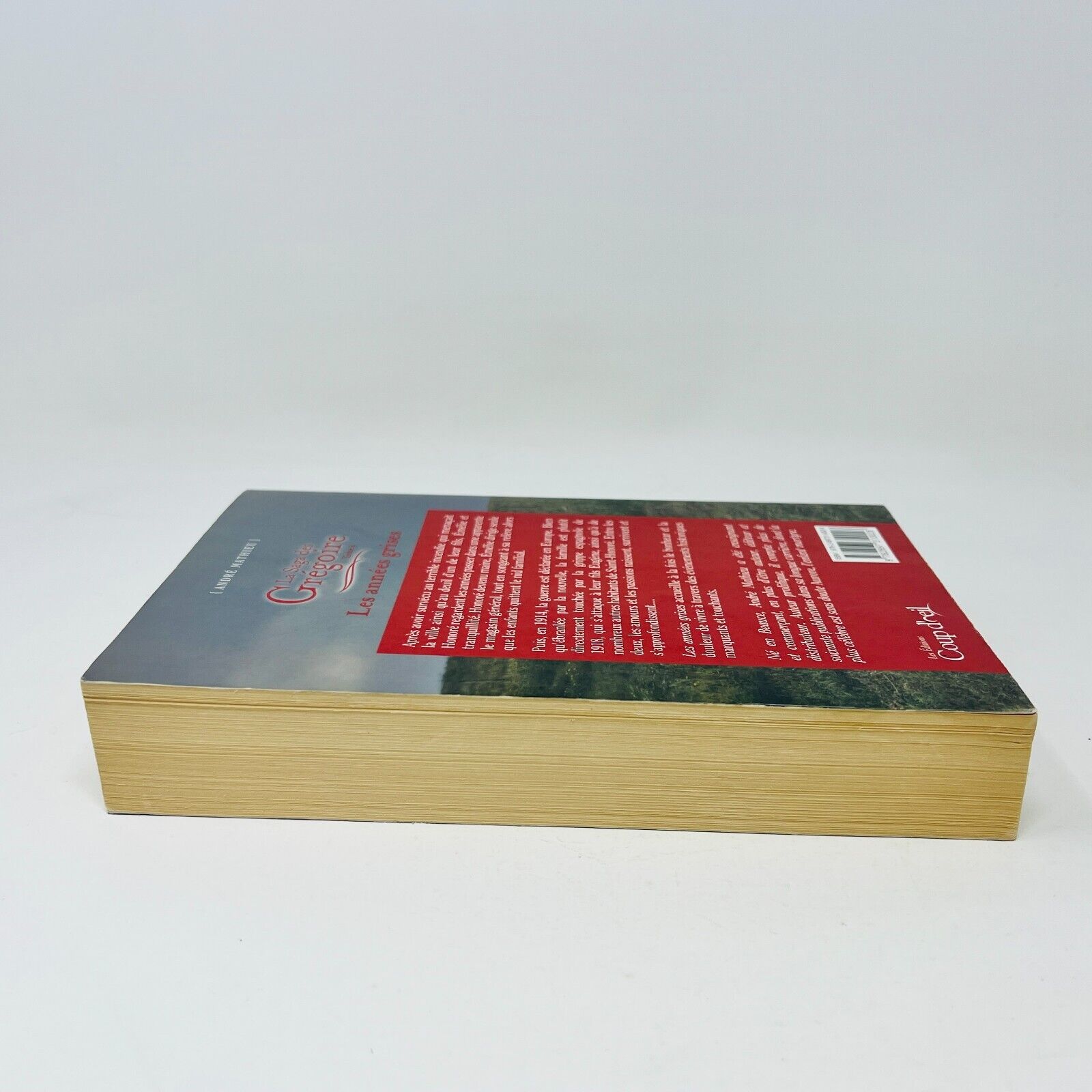2012 La Saga des Grégoire #4 Les Années Grises de André Mathieu Coup d'Oeil PB