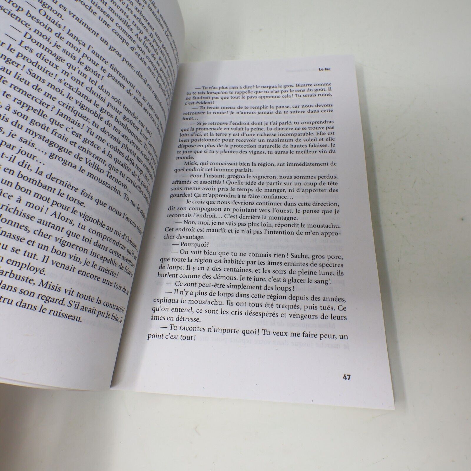 Les Hyrcanoï Bryan Perro Wariwulf #3 Les Intouchables Français Paperback Enfants
