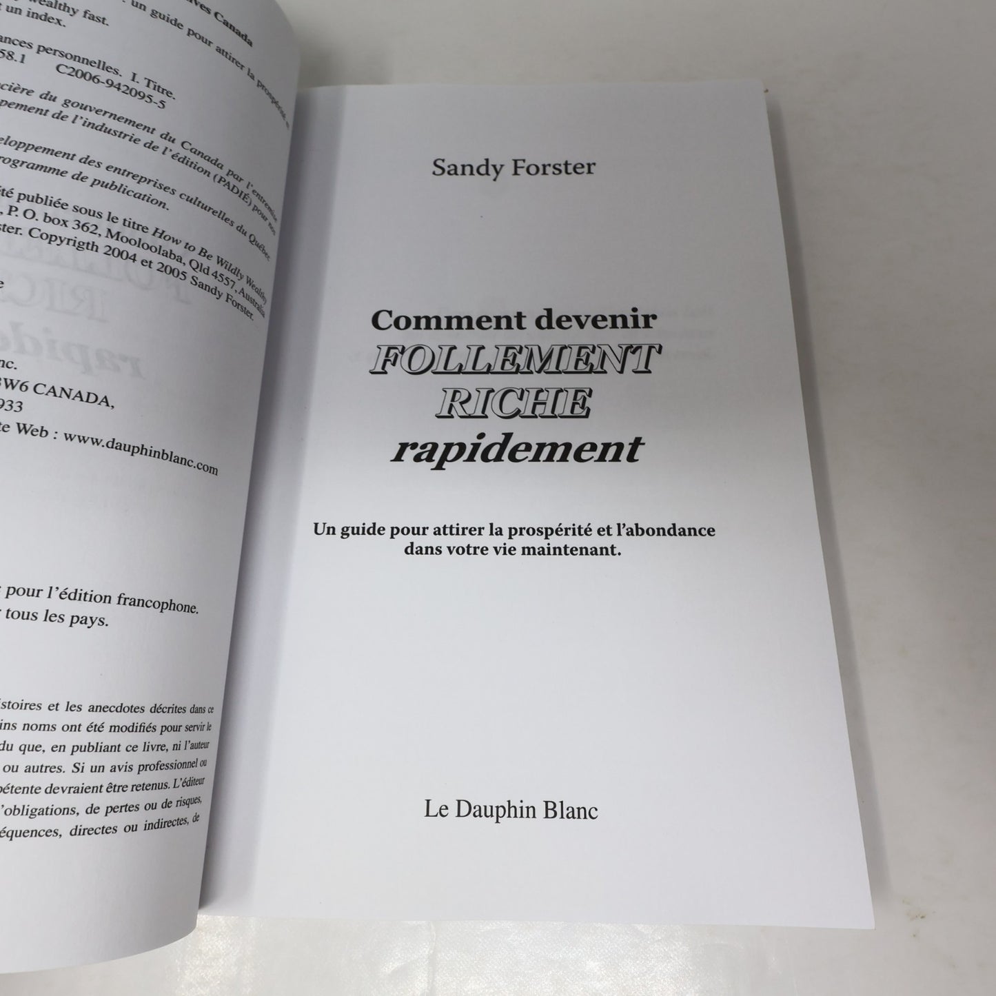 Comment Devenir Follement Riche Rapidement Sandy Forster 2006 Argent Psychologie