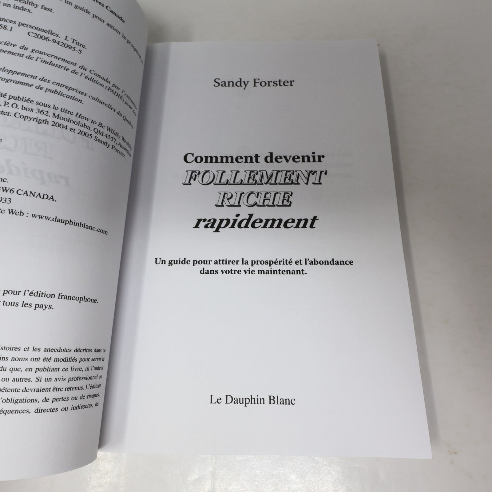 Comment Devenir Follement Riche Rapidement Sandy Forster 2006 Argent Psychologie