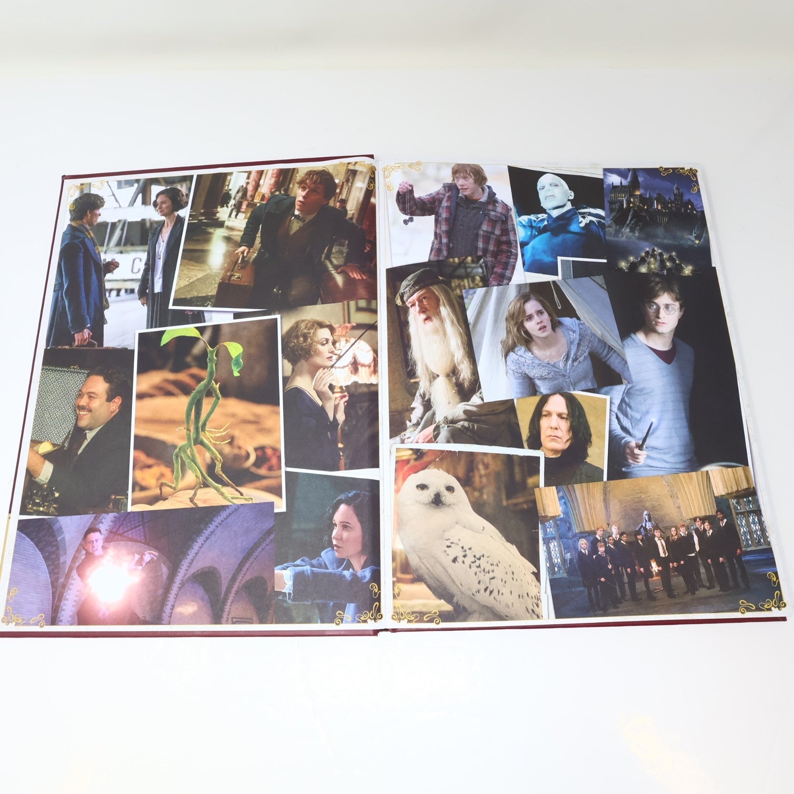 A Magical Yearbook Wizarding World Harry Potter Emily Stead Scholastic 2017 HC