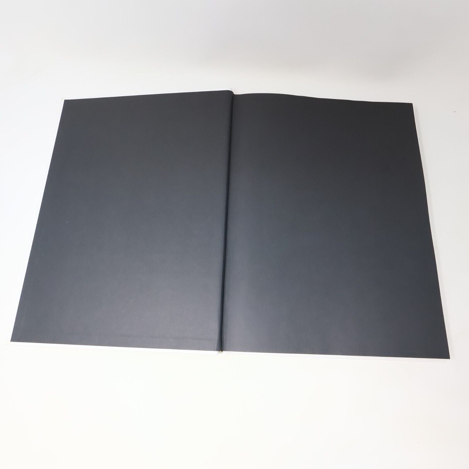 2007 La Face Cachée du Portrait Astuces et Secrets Monic Richard Sophie Massé HC