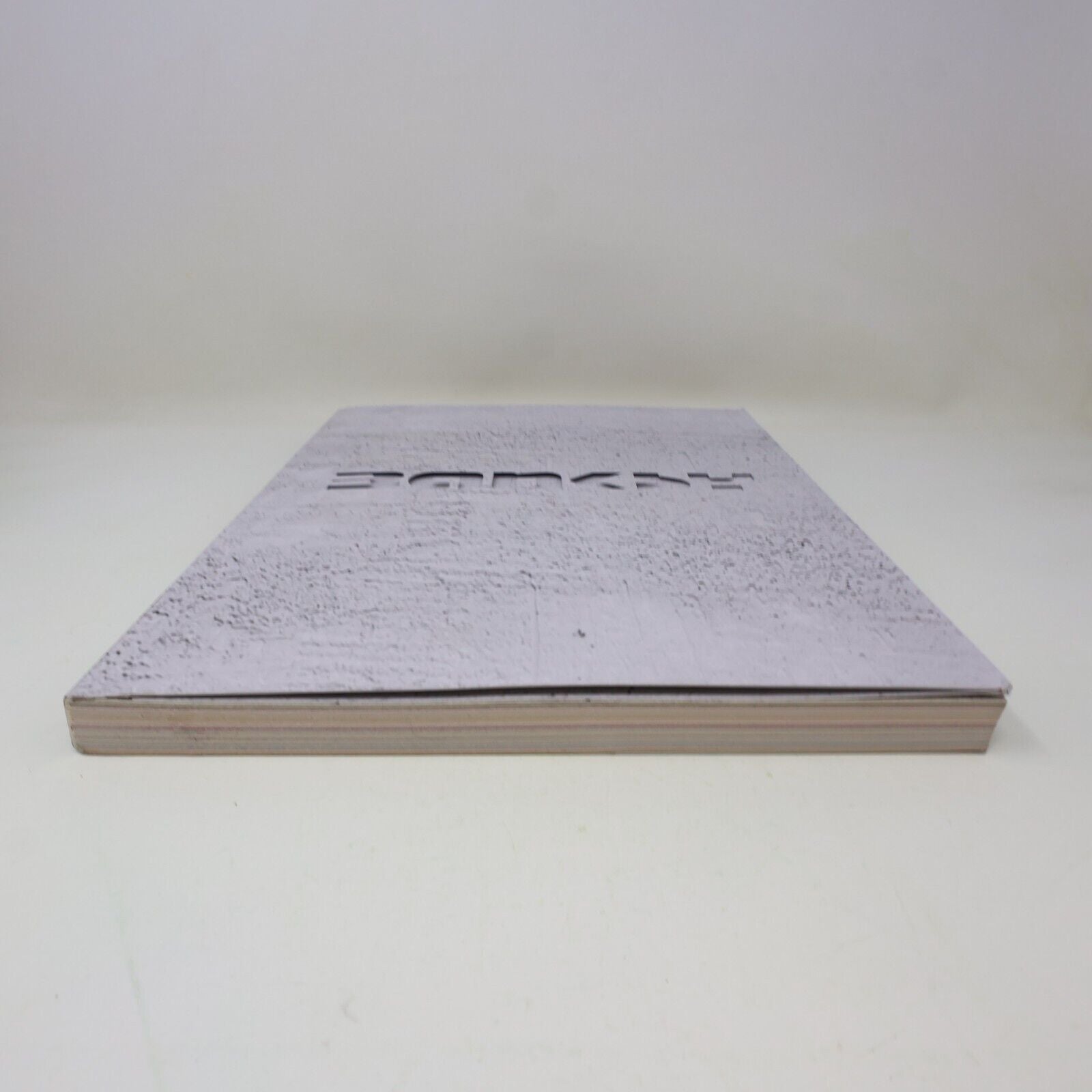 Exposition the Art of Banksy Tansel Baybara Français French Paperback Catalogue
