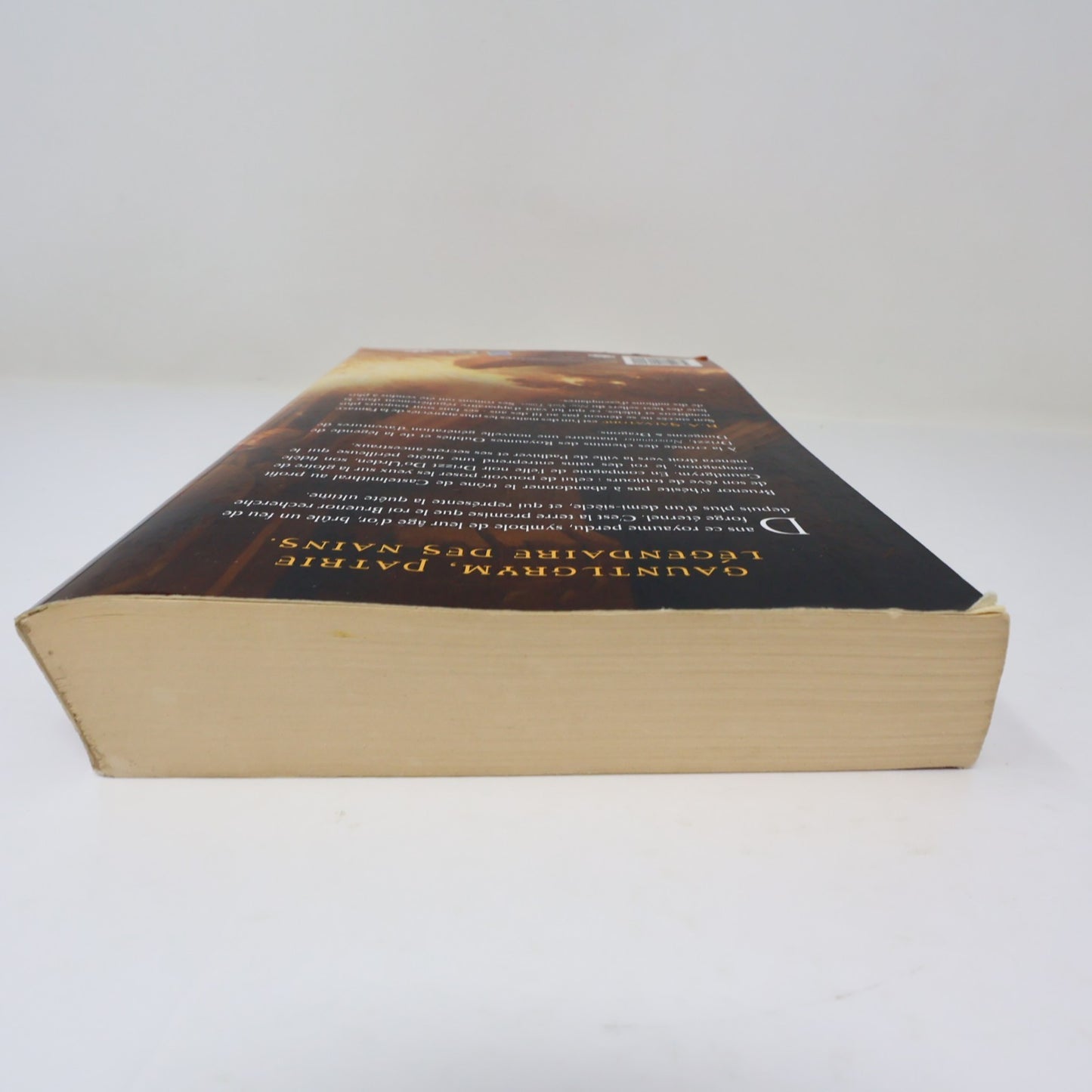 Gauntlgrym R. A. Salvatore Neverwinter #1 Les Royaumes Oubliés D&D 2012 PB Livre