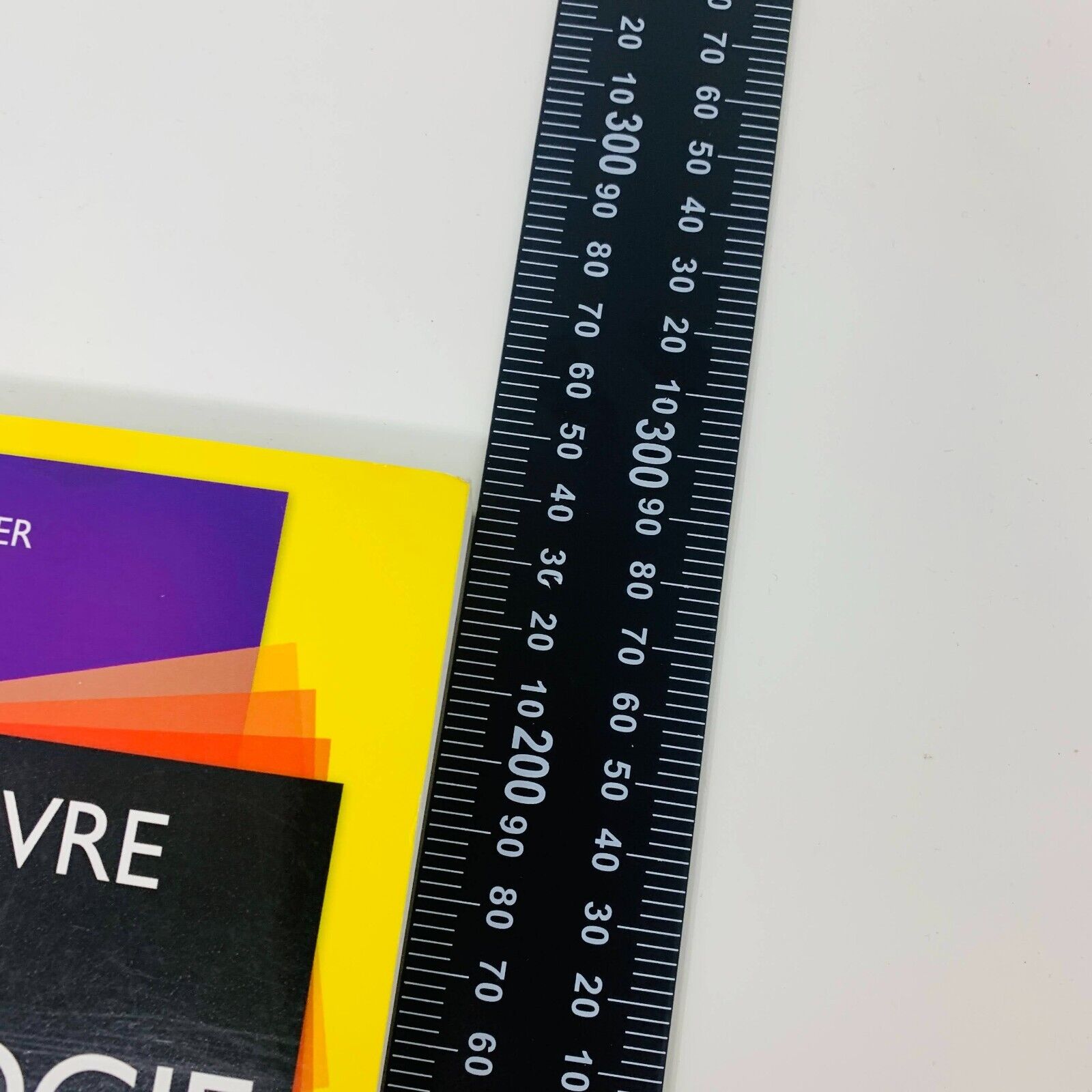 2013 Le Grand Livre de la Numérologie De Vecchi François Notter Numérologue