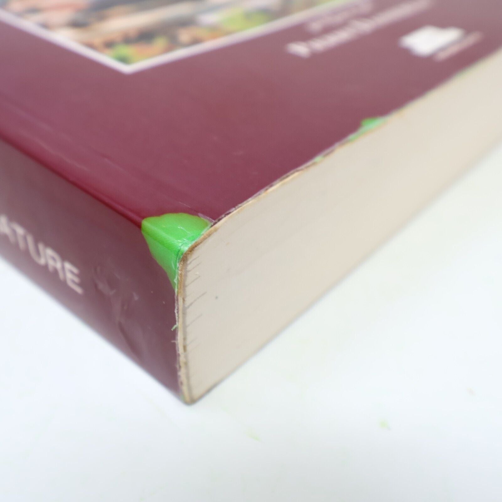 1988 Surviethon au Gré de la Nature André-François Bourbeau Jcl Survivalisme PB
