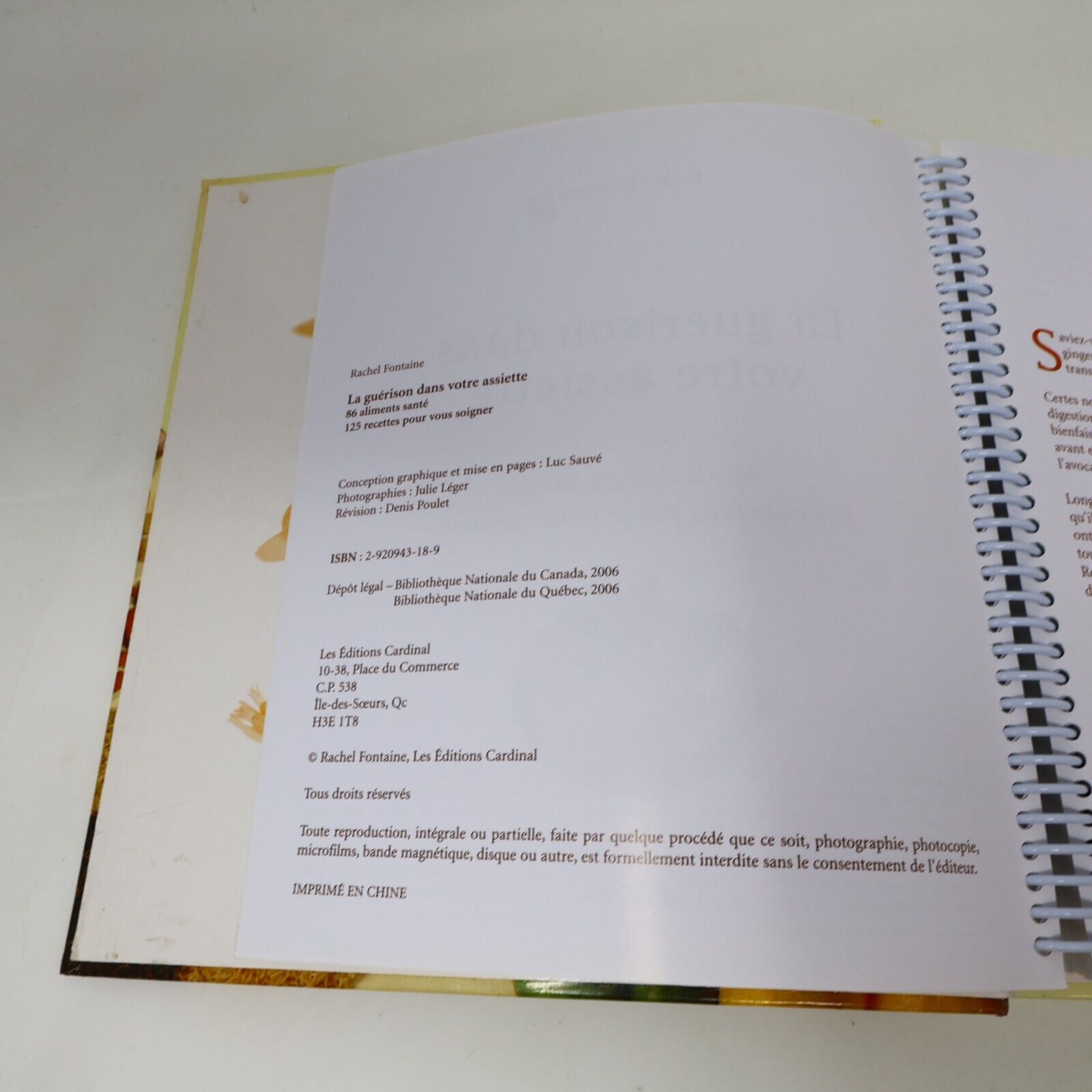 2006 La Guérison dans Votre Assiette de Rachel Fontaine Cuisine Recettes Santé
