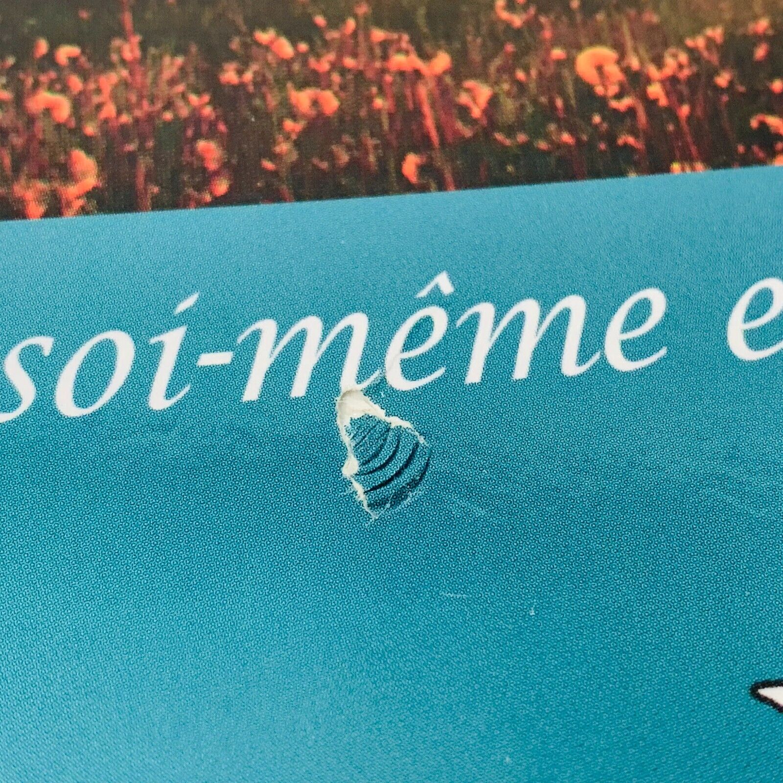 2012 Se Libérer de la Souffrance Être Soi-Même et Vivre en Paix Christine Lavoie