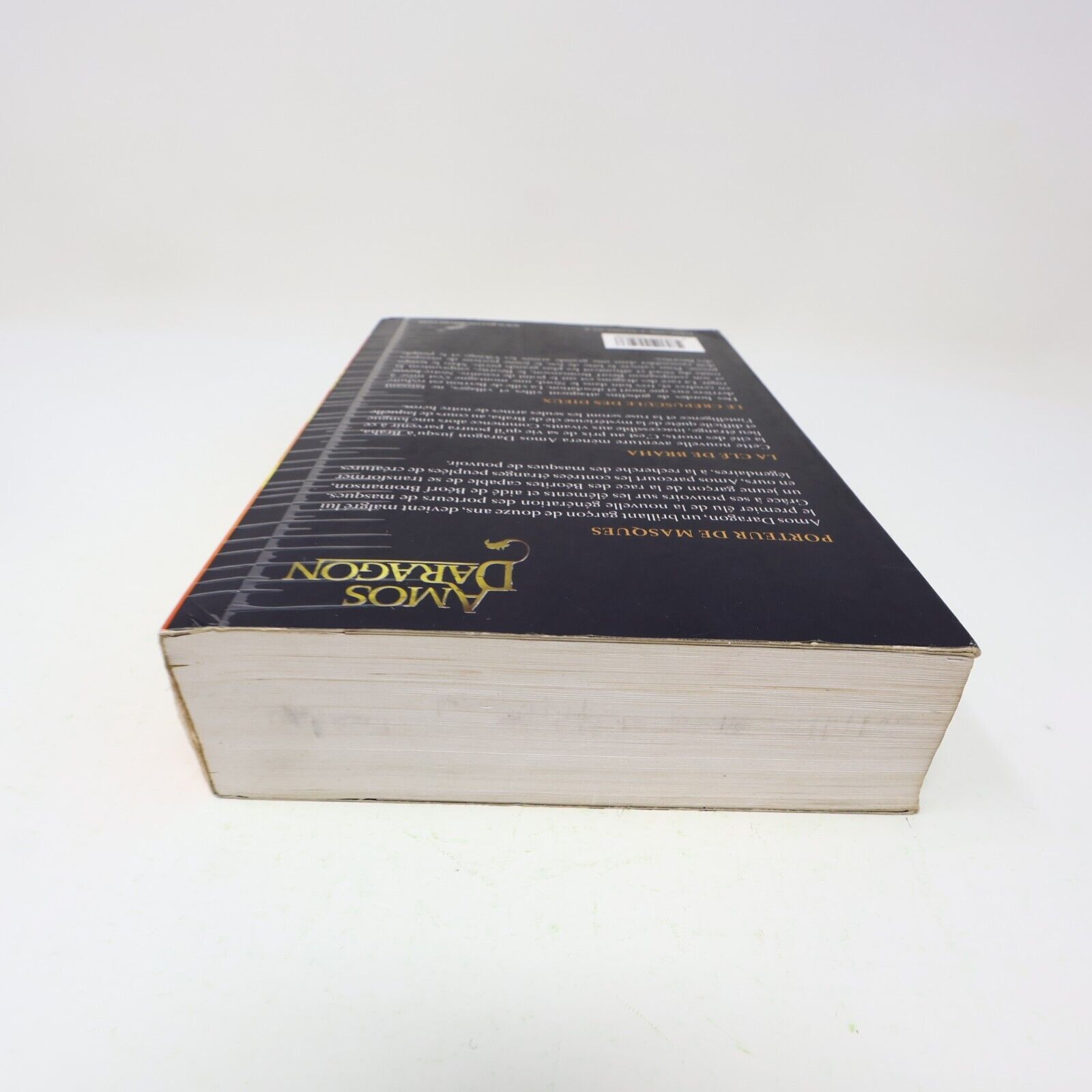 Amos Daragon Trilogie #1 Omnibus Fantasy Ados Bryan Perro 2012 Français Livre PB