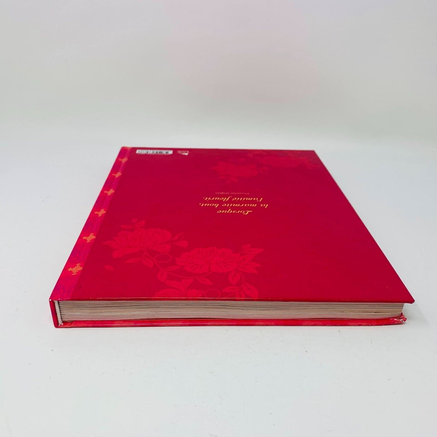 2010 Deux Folles et un Fouet Jessica Barker Raphaële Germain Livre de Recettes