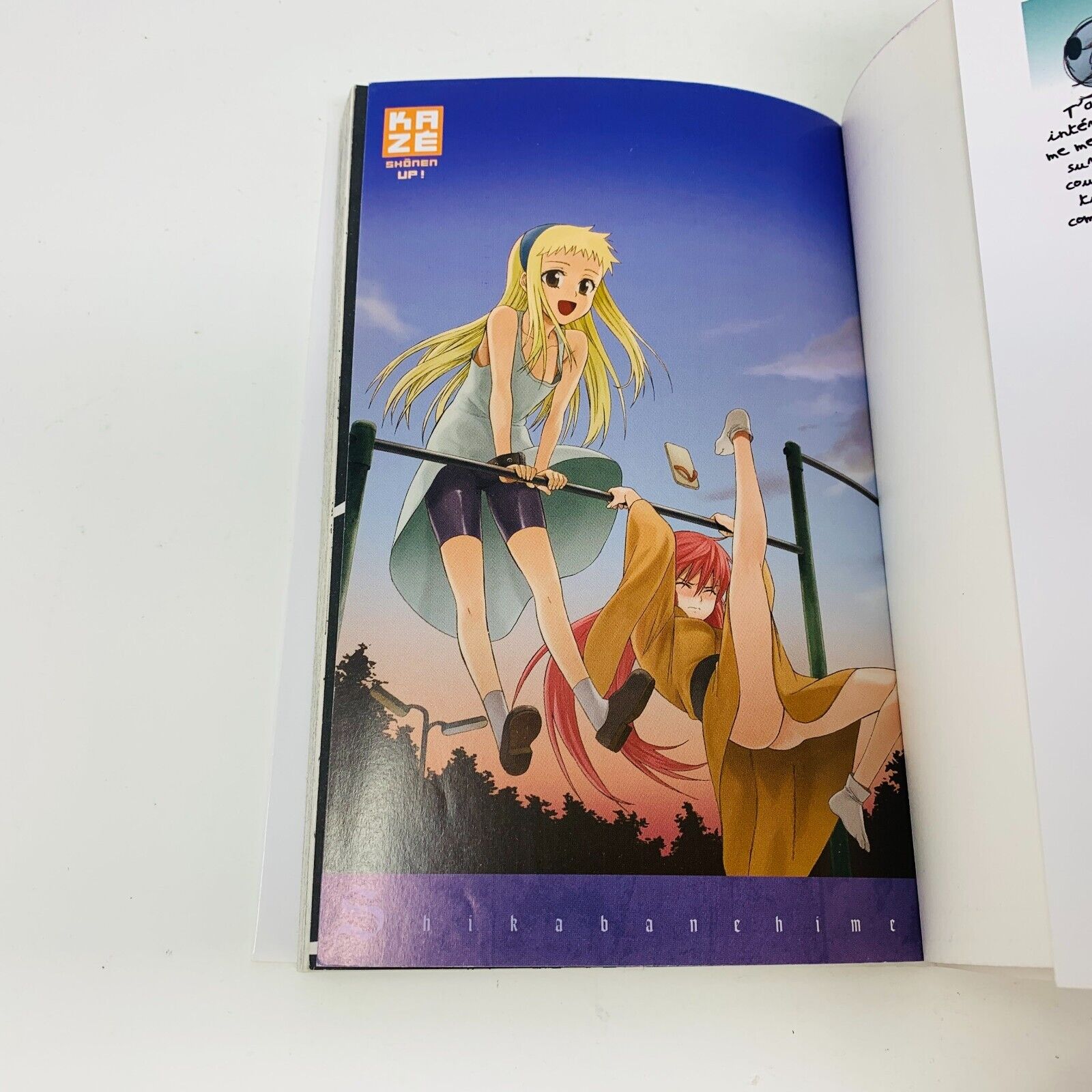 2013 Shikabane Hime Volume 14 Kazé Manga Shonen Up! Français Yoshiichi Akahito