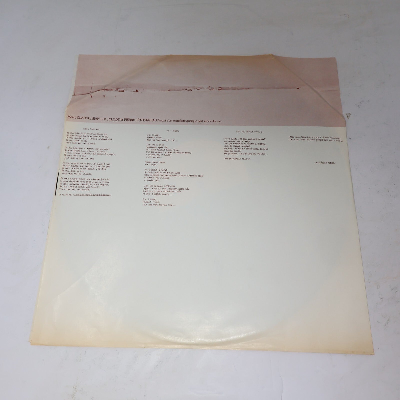 Guy Trépanier Lot 2 Disques LP Fragile L'hiver/Pour Un Gars Heureux Record Vinyl