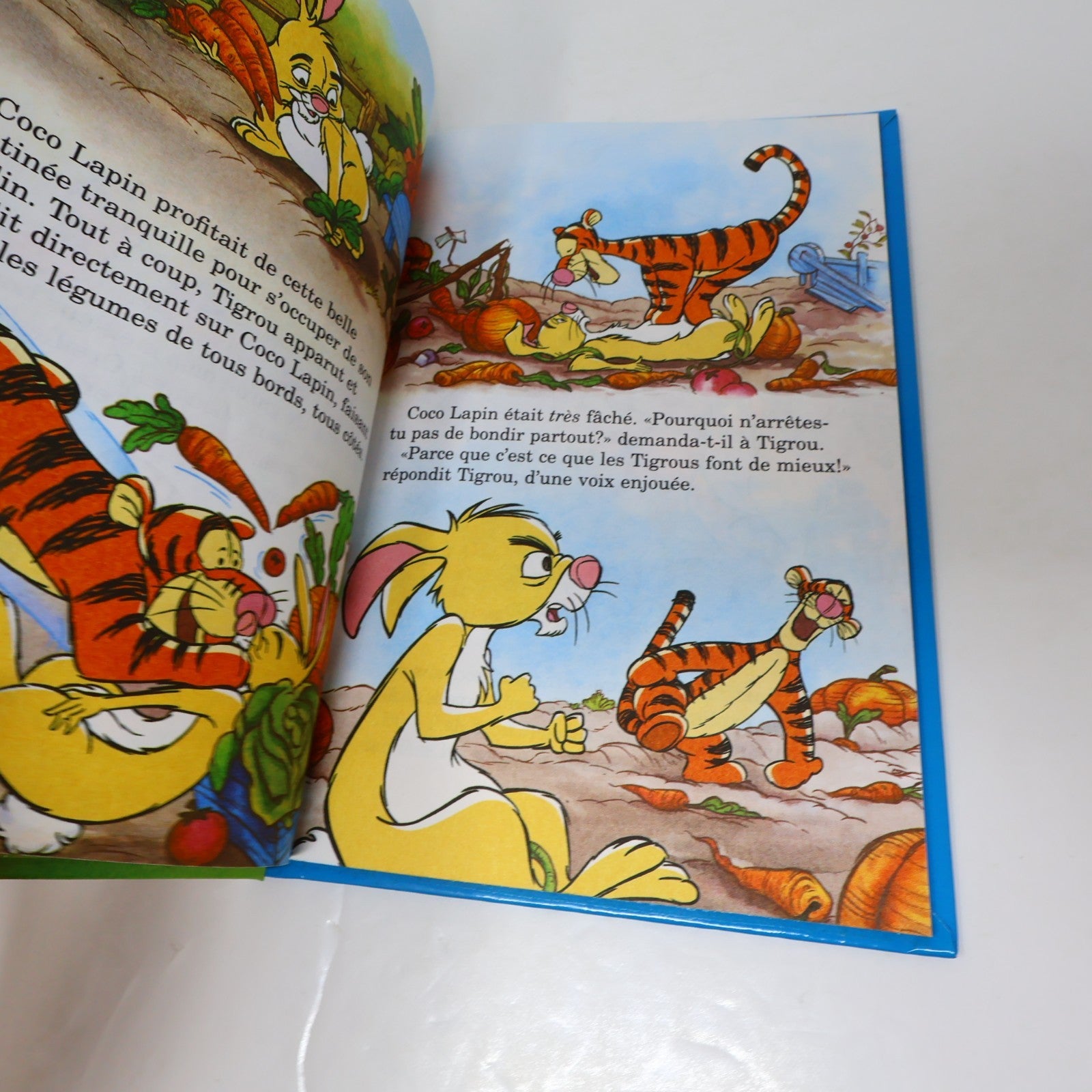 Mickey Club du Livre Lot 15 Livres Le Livre de la Jungle/Bambi Grolier Enfants