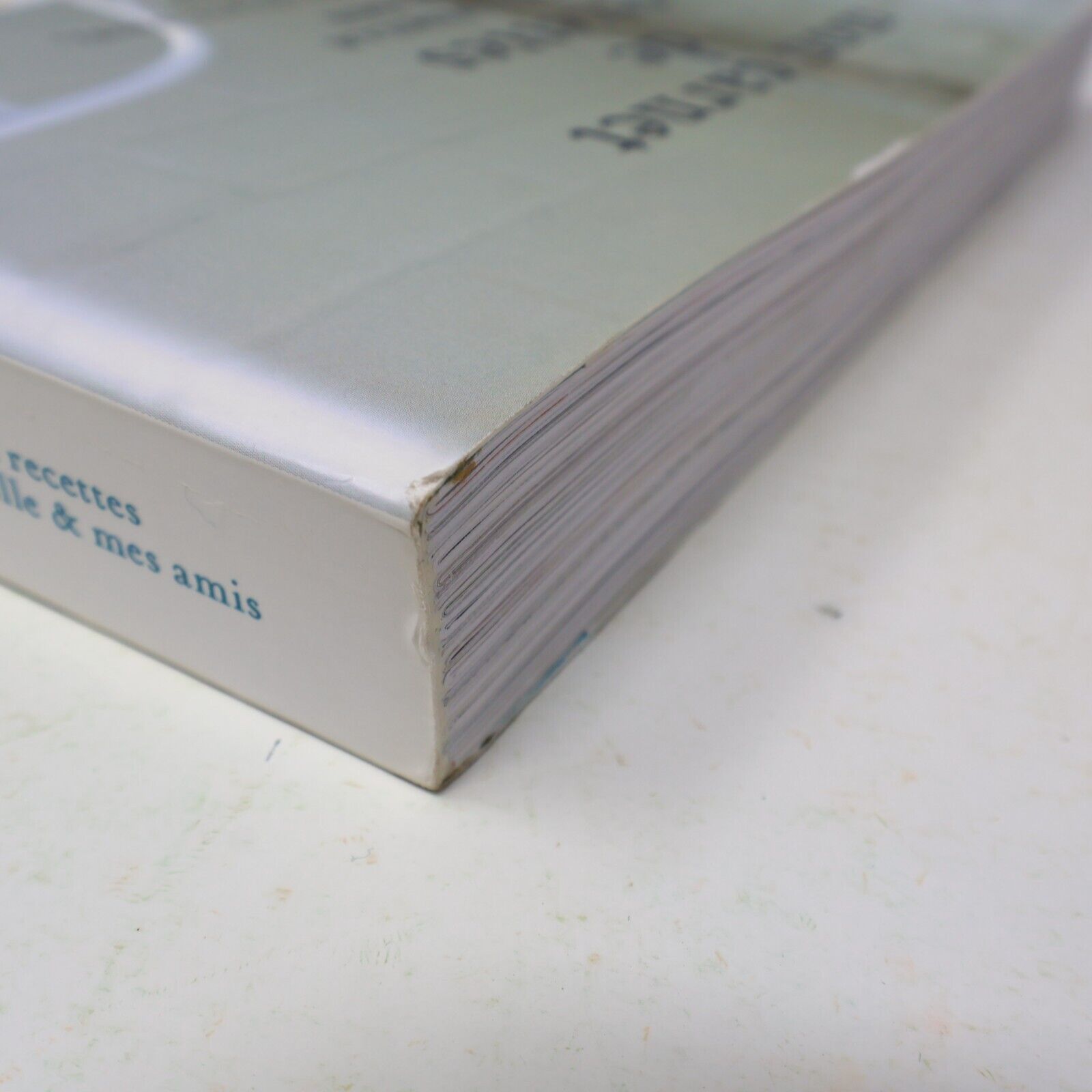 2011 Mon Carnet de Recettes pour ma Famille & mes Amis Gwyneth Paltrow Cuisine