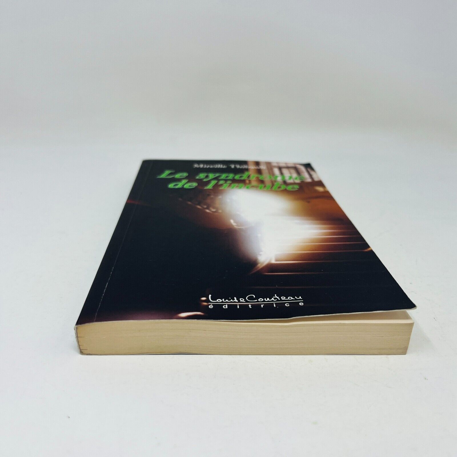 2004 Le Syndrome de l'Incube de Mireille Thibault Français Livre Louise Courteau