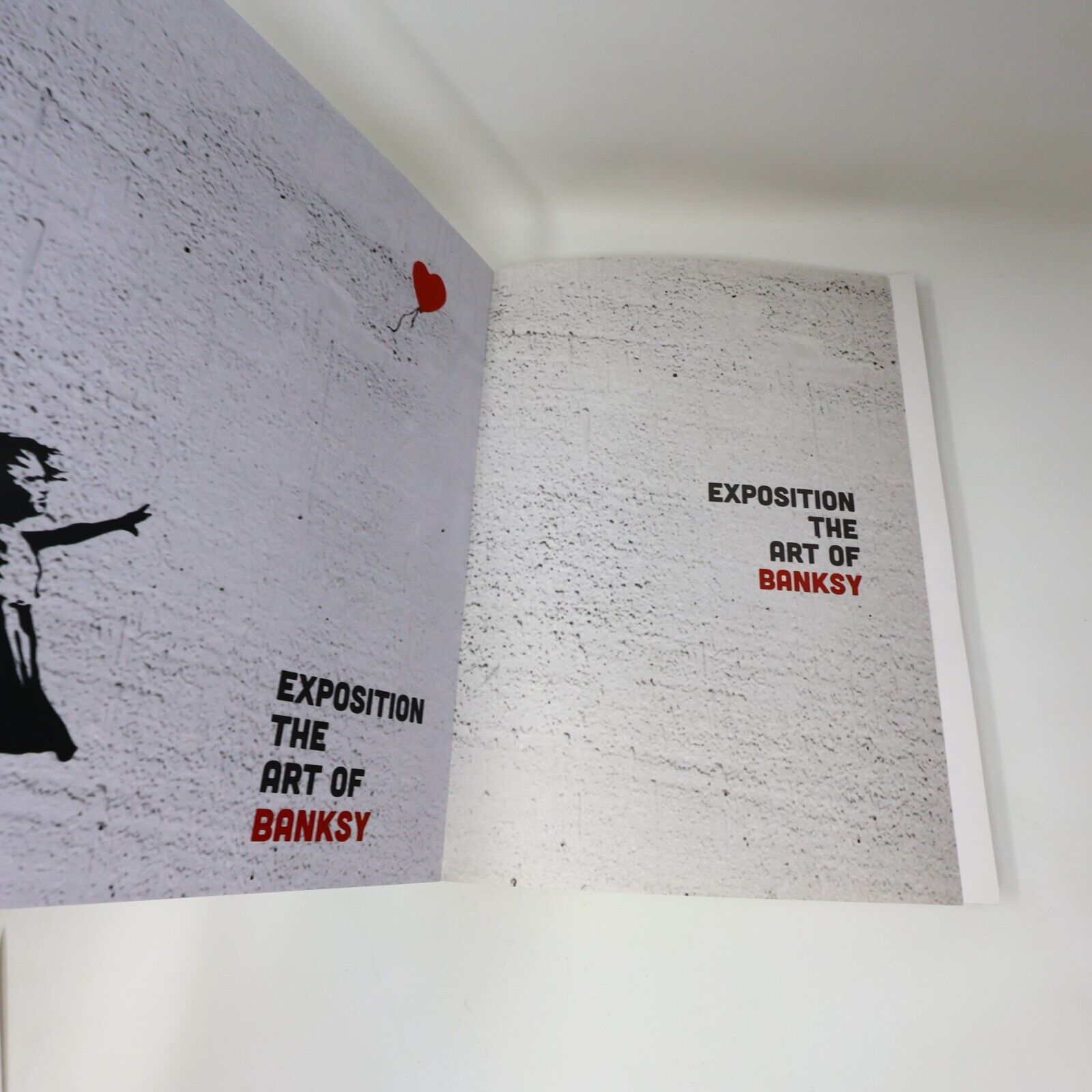 Exposition the Art of Banksy Tansel Baybara Français French Paperback Catalogue