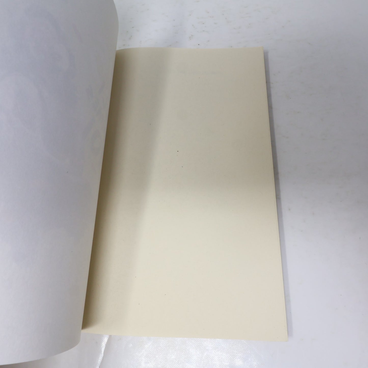 225 Milligrammes de Moi Marie-Sissi Labrèche Leméac 2021 PB Français French Book