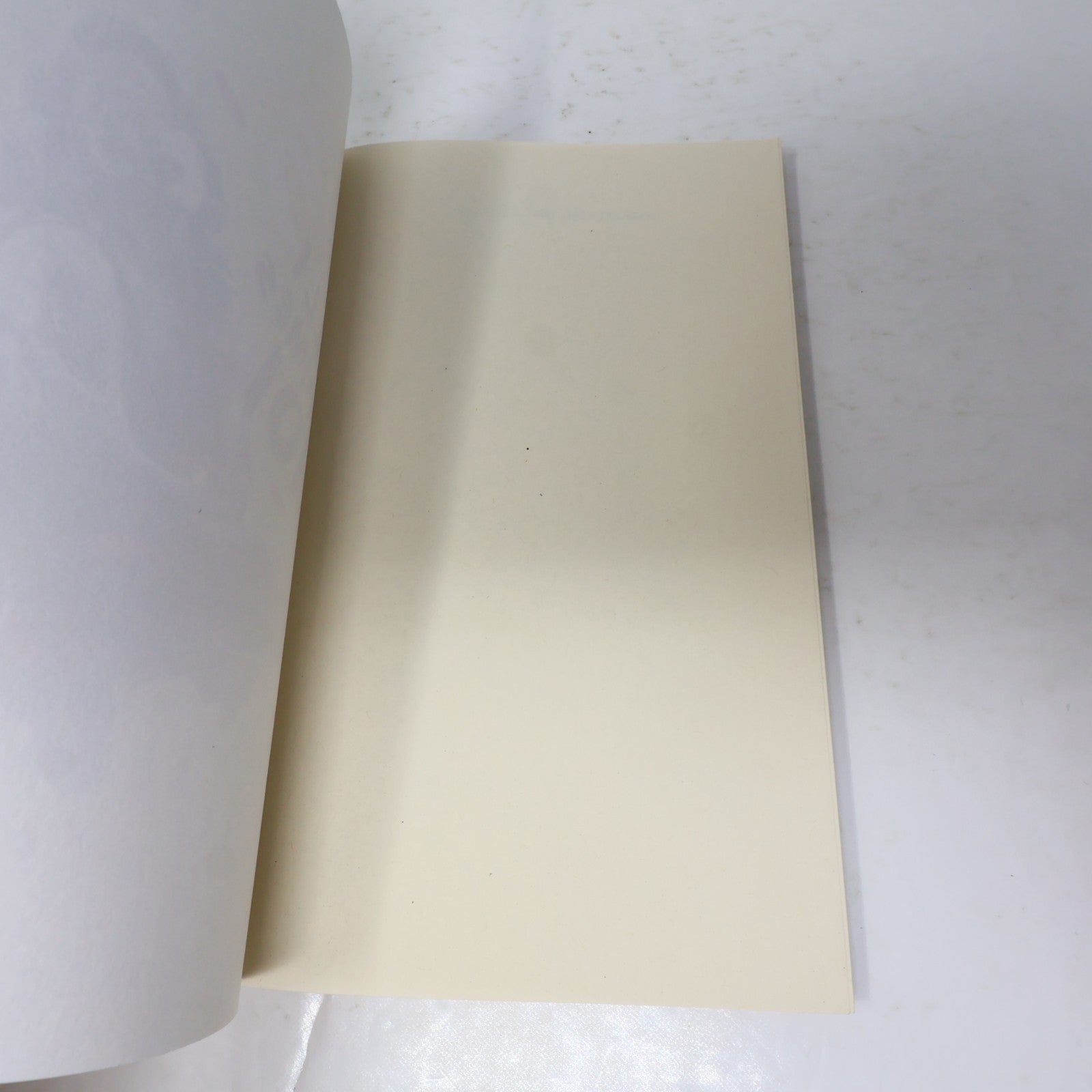 225 Milligrammes de Moi Marie-Sissi Labrèche Leméac 2021 PB Français French Book