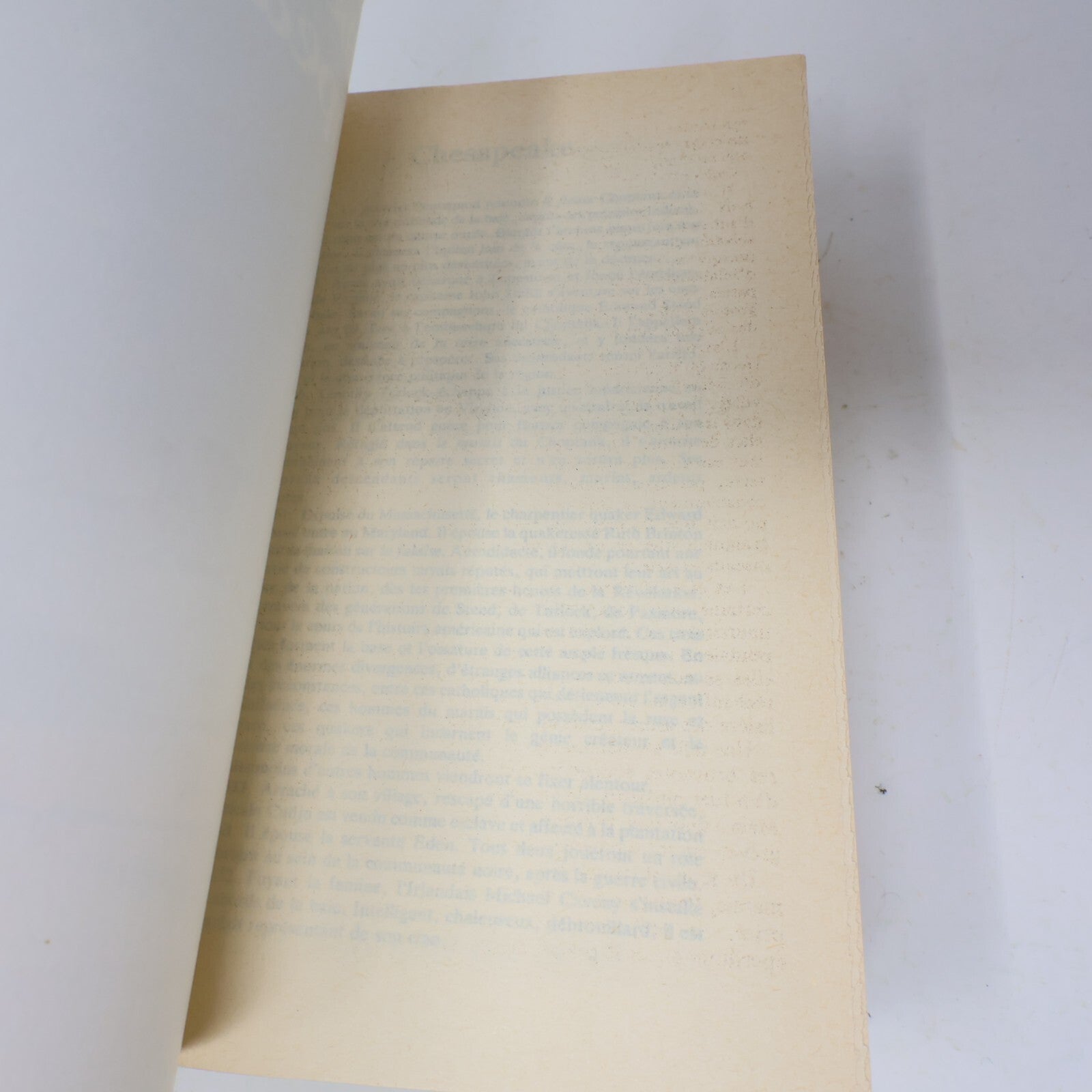 James Albert Michener Lot 2 Livres Chesapeake/L'Alliance Français French Seuil
