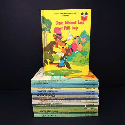 Lot 16 Livres Les Livres Merveilleux de Disney Enfants Livre Loisirs Français HC