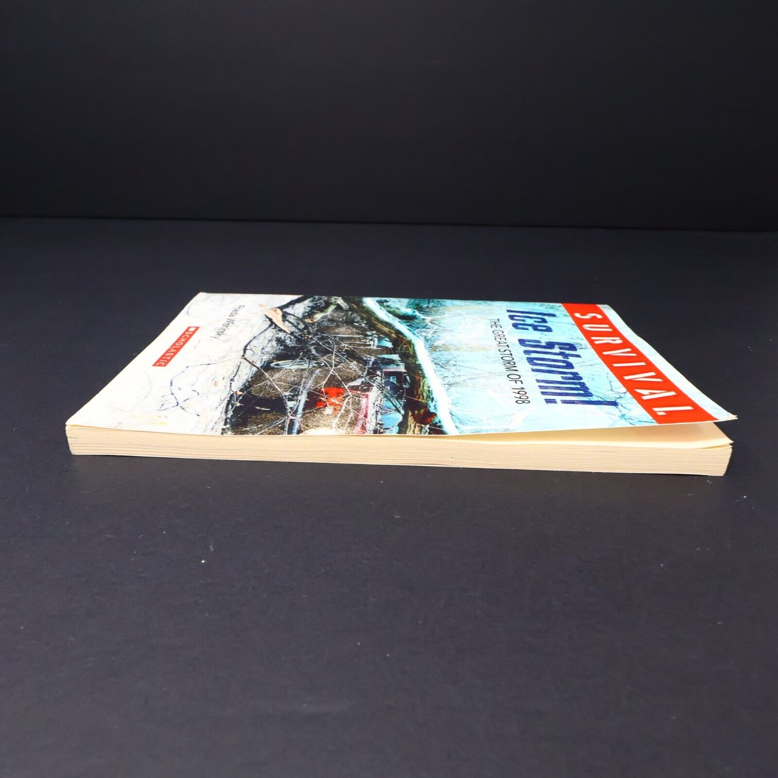 2016 Survival Ice Storm! by Frieda Wishinsky The Great Storm of 1998 Scholastic