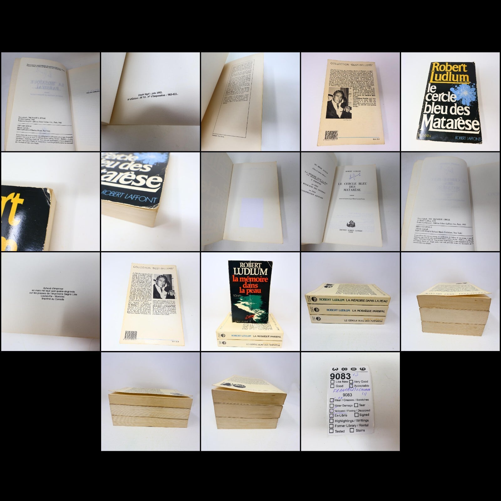 Robert Ludlum Lot 3 Livres Jason Bourne Mémoire dans la Peau/Mosaïque Parsifal
