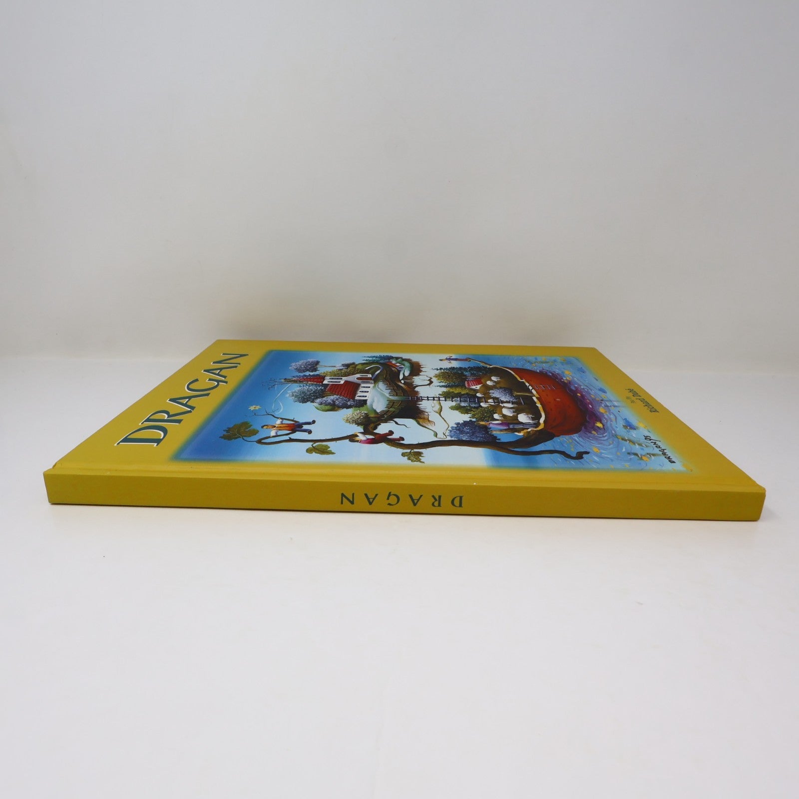 Dragan Art Monographie d'Artiste 1995 HC Galerie Jeannine Blais Hardcover Book