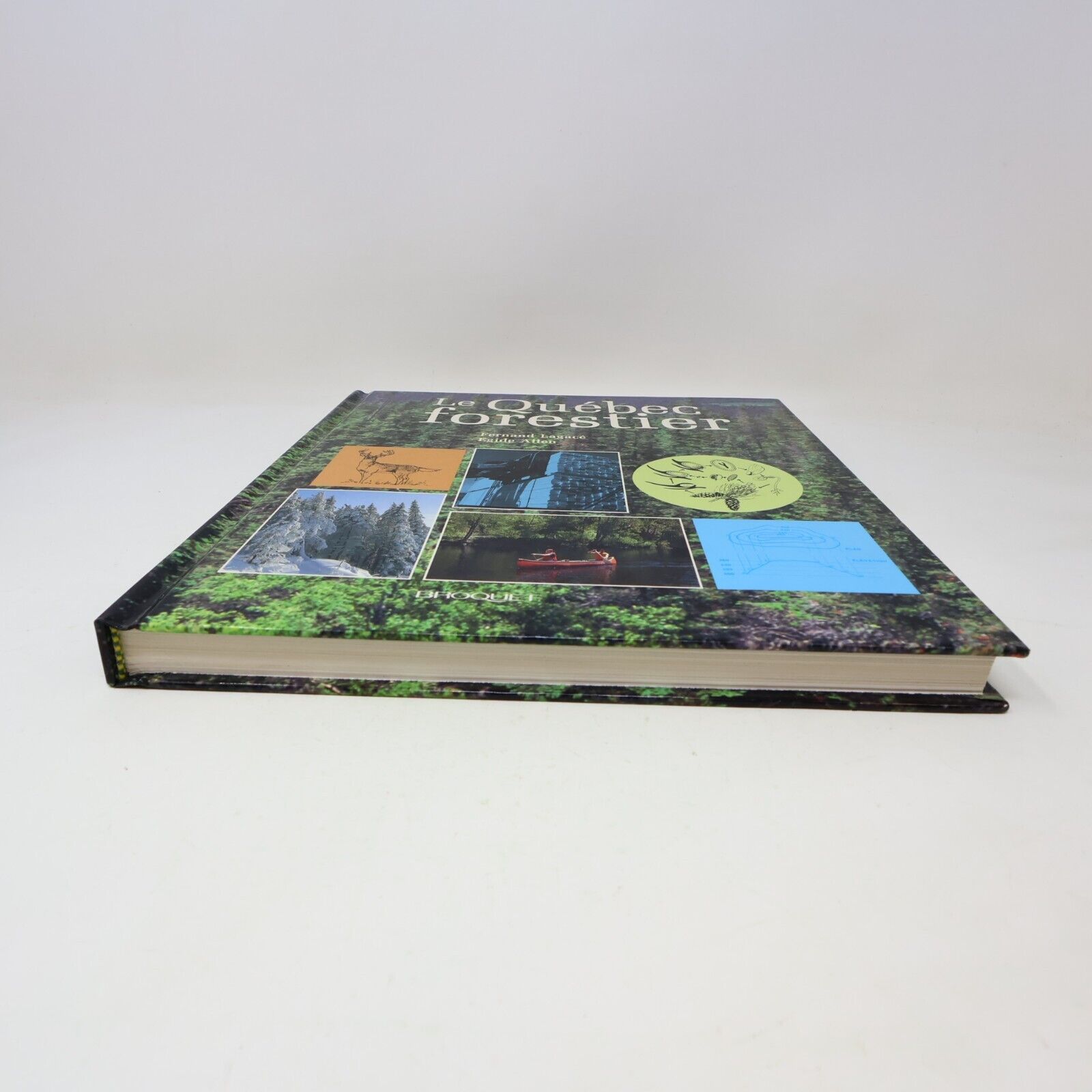 1991 Le Québec Forestier Lagacé/Allen Hardcover HC Broquet Nature Faune Flore