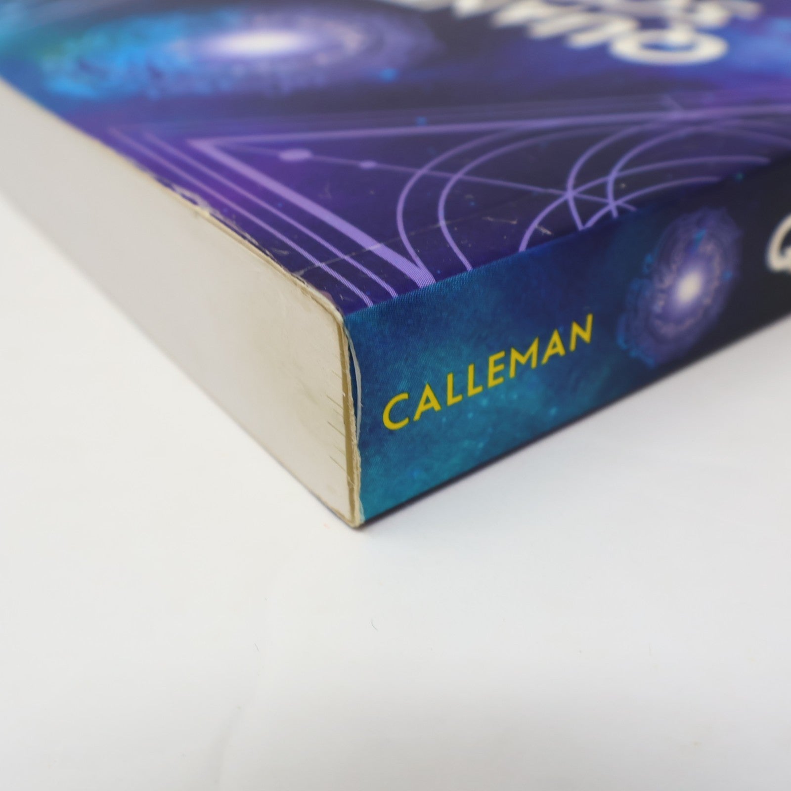 Quantum Science of Psychedelics Carl Johan Calleman Bear & Co 2020 PB 1st Print