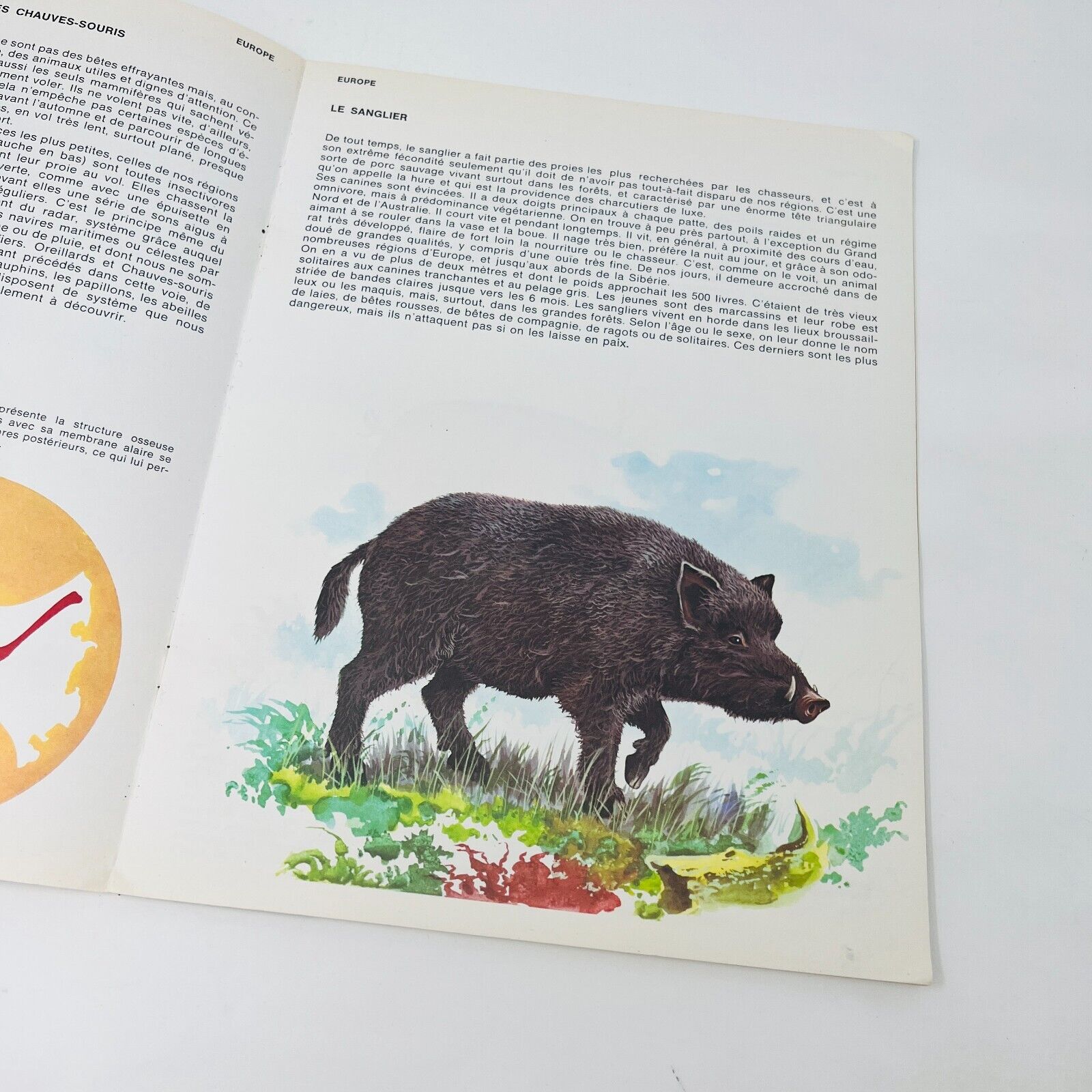 12x Les Animaux Vus par Claude Darget Presses Select Français 1960s Lot Livres