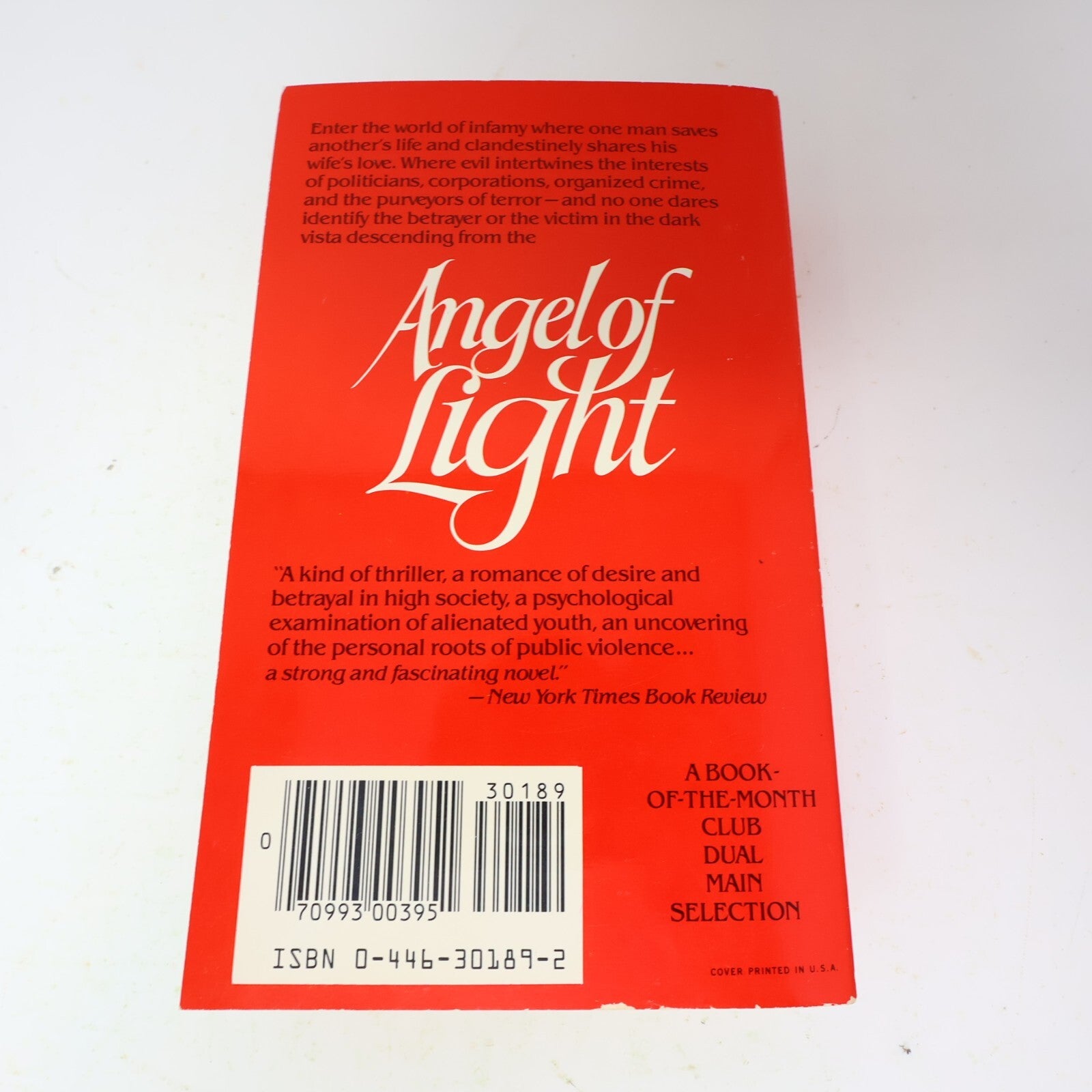 1982 Angel of Light Joyce Carol Oates Warner Historical Fiction Thriller Book PB