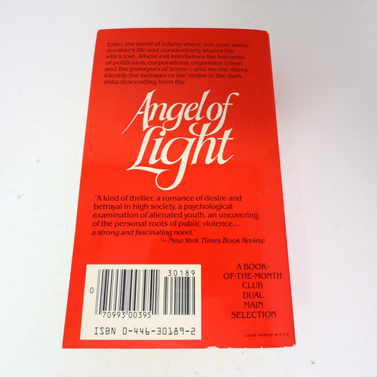 1982 Angel of Light Joyce Carol Oates Warner Historical Fiction Thriller Book PB
