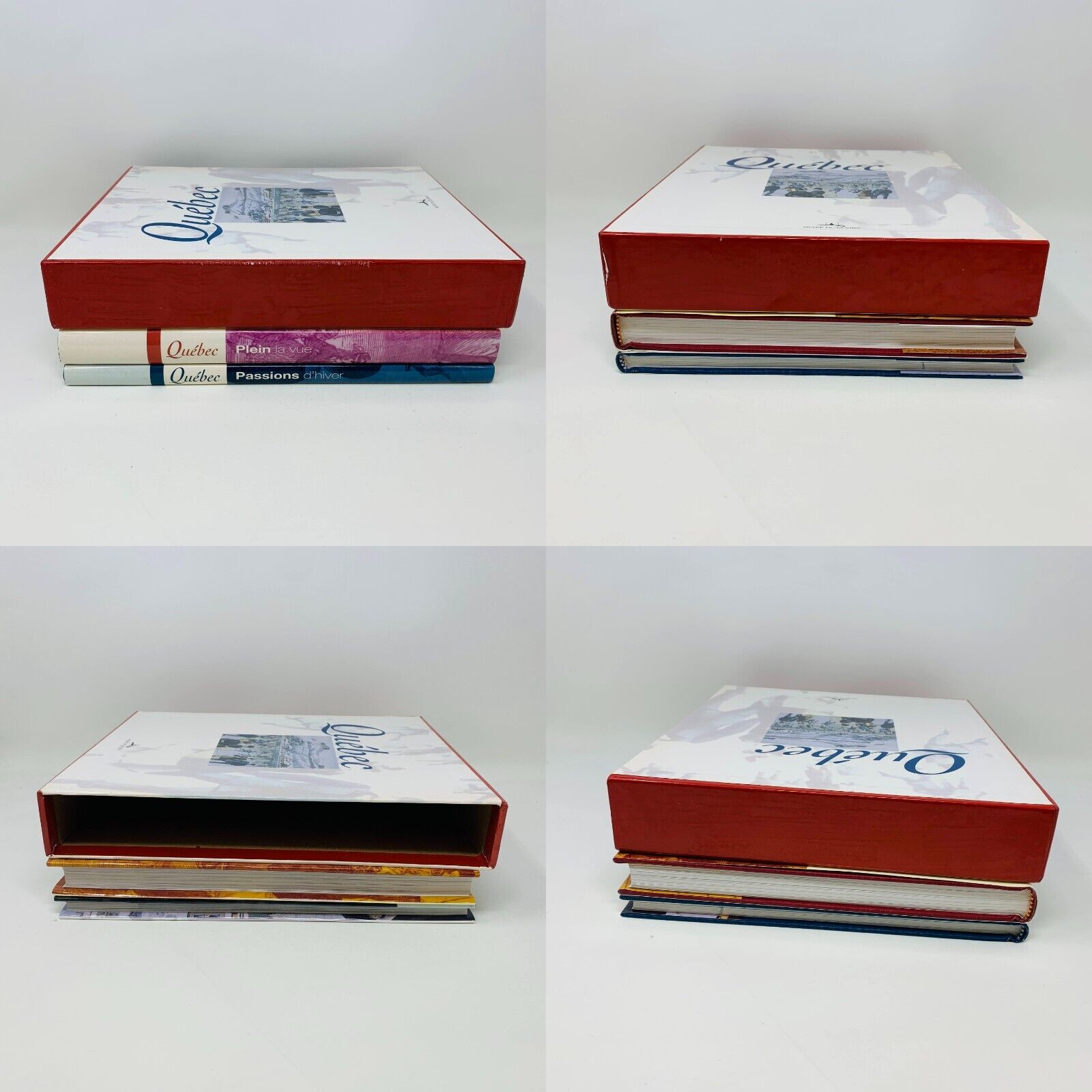 Coffret de Livres Musée du Québec Exposition "Plein la Vue" & "Passions d'Hiver"