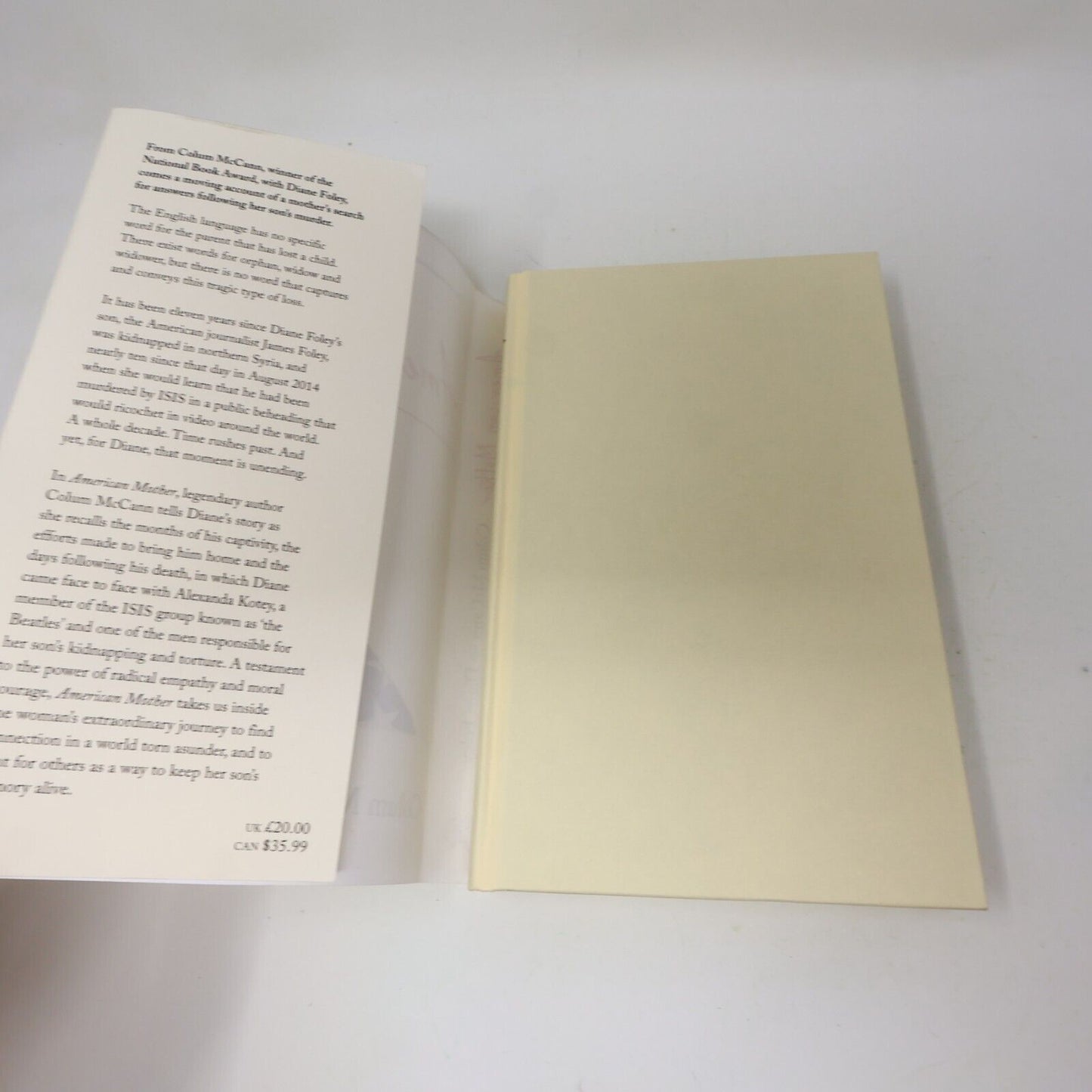 2024 American Mother Colum Mccann Diane Foley Bloomsbury Hardcover Novel Crime