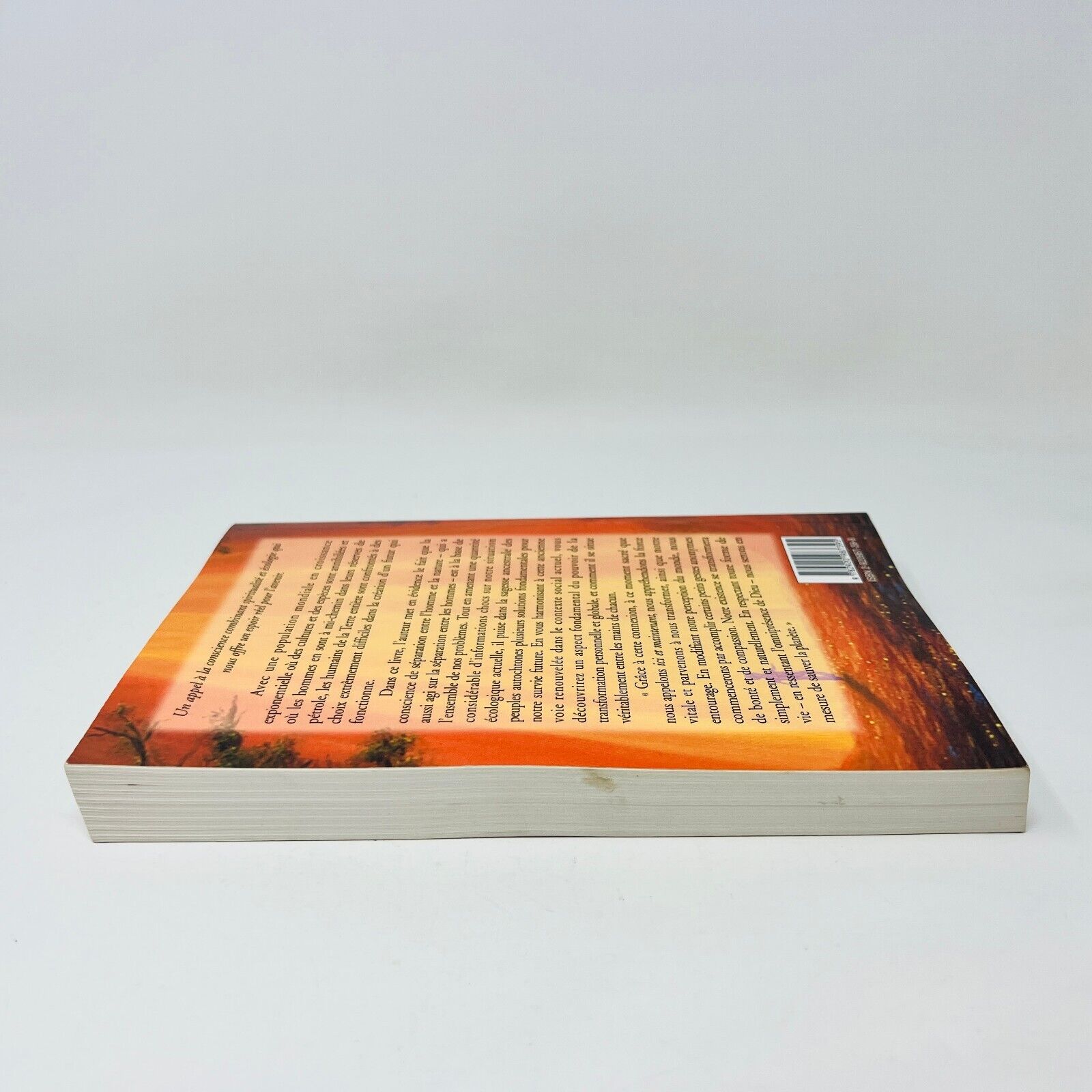 1999 Les Dernières Heures du Soleil Ancestral de Thom Hartmann Français Ariane