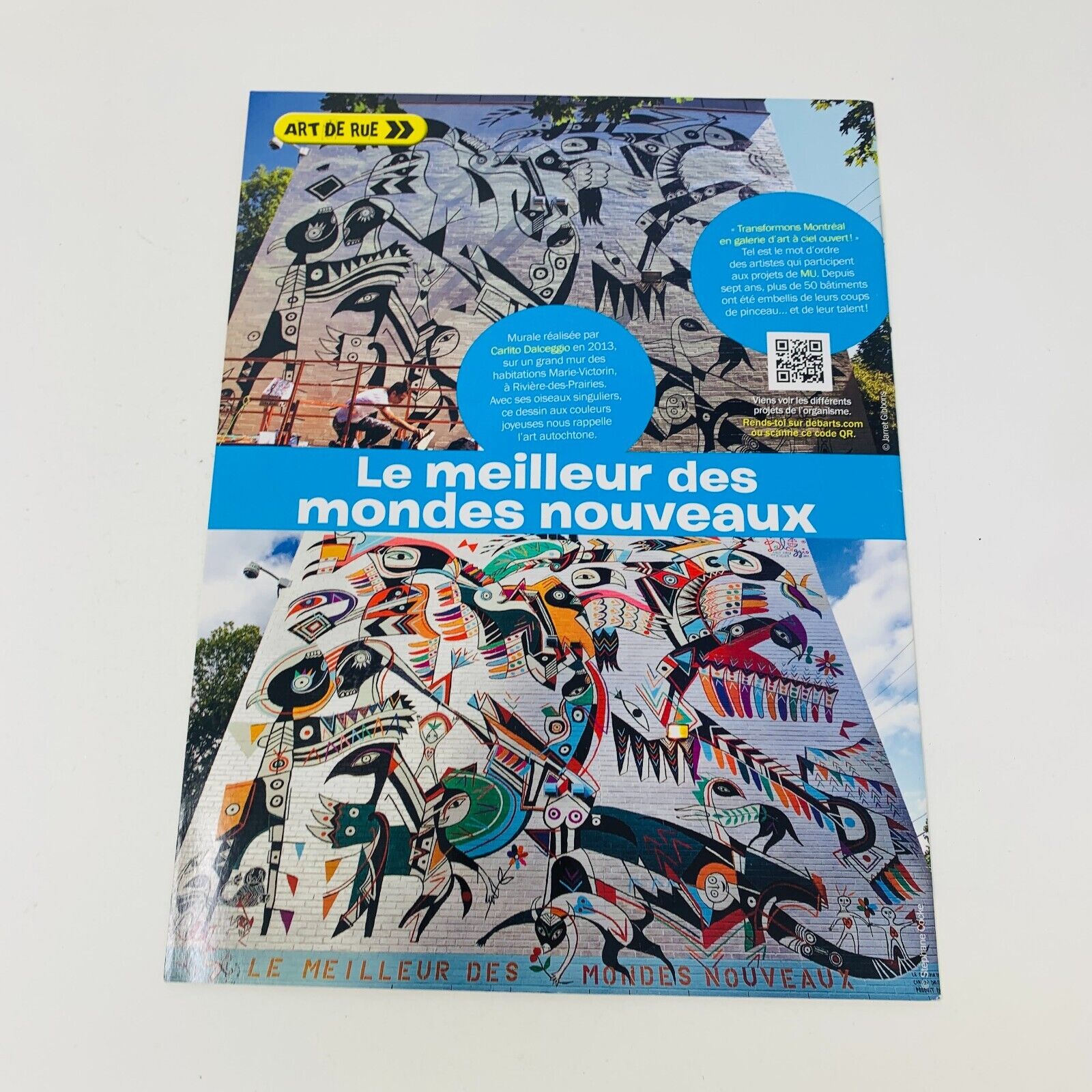 Lot de 9 Magazines Les DébrouillArts & Terre des Débrouillards Enfants Français