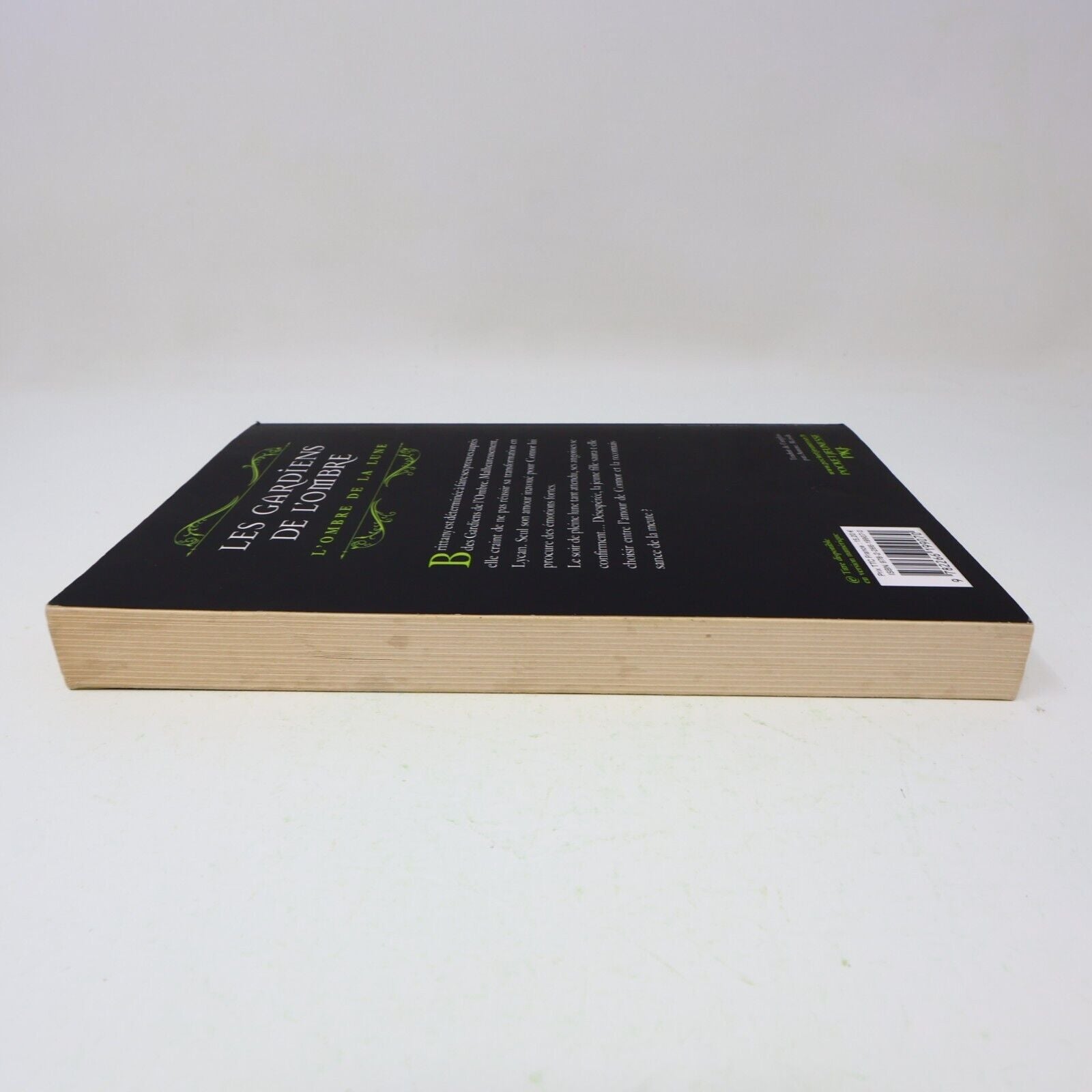 L'Ombre de la Lune Rachel Hawthorne Les Gardiens de l'Ombre #3 2013 Pocket Livre