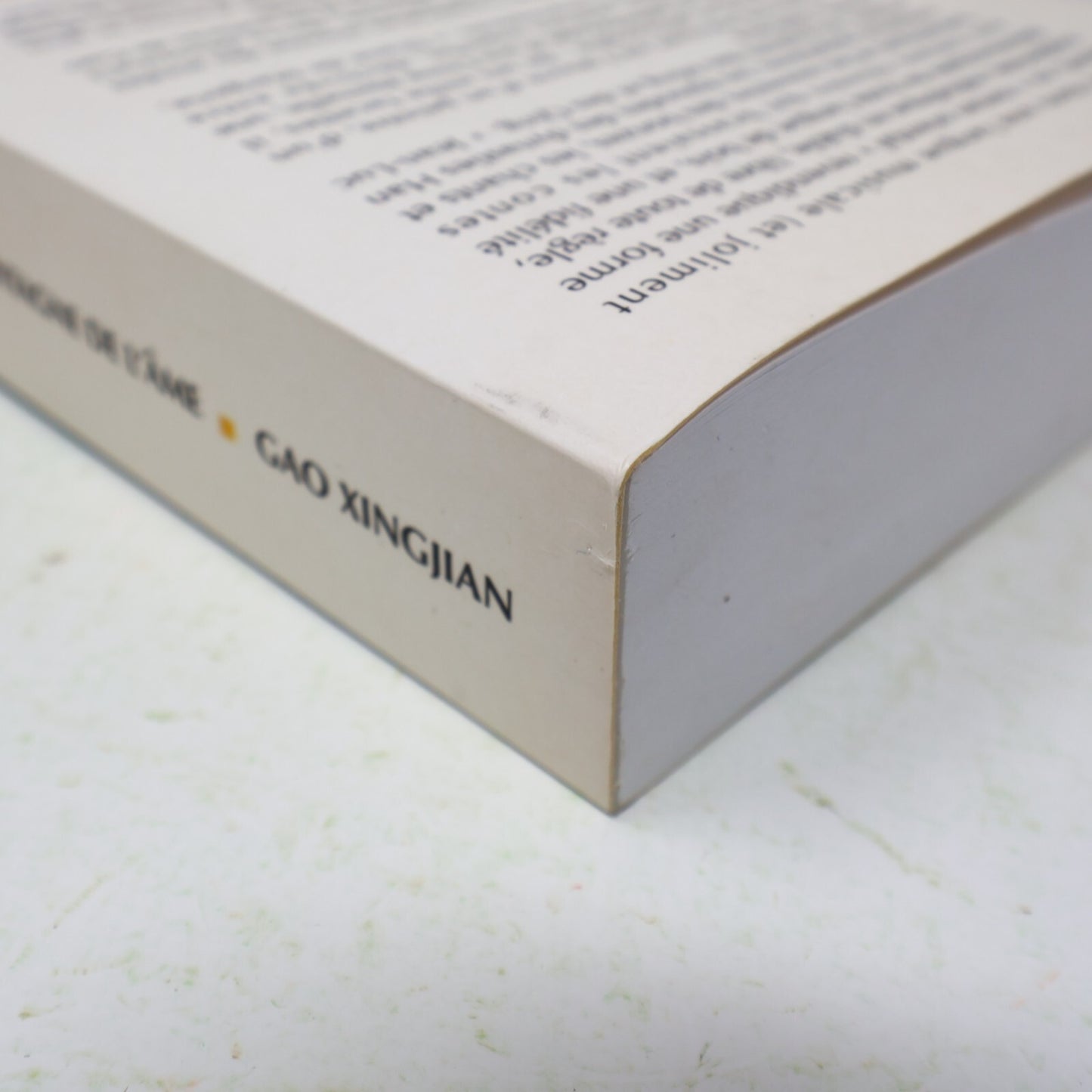 2000 La Montagne de l'Âme Gao Xingjian Editions de l'Aube Littérature Français