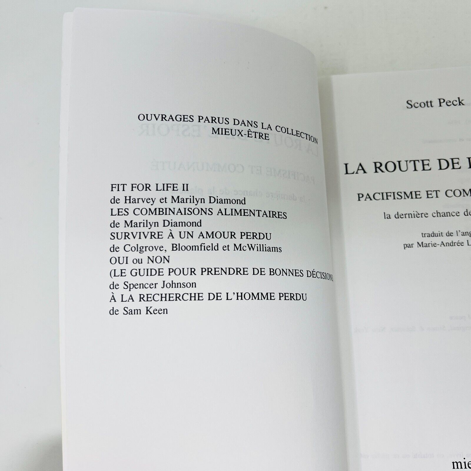 1993 La Route de l'Espoir de Scott Peck Dernière Chance de la Planète Français