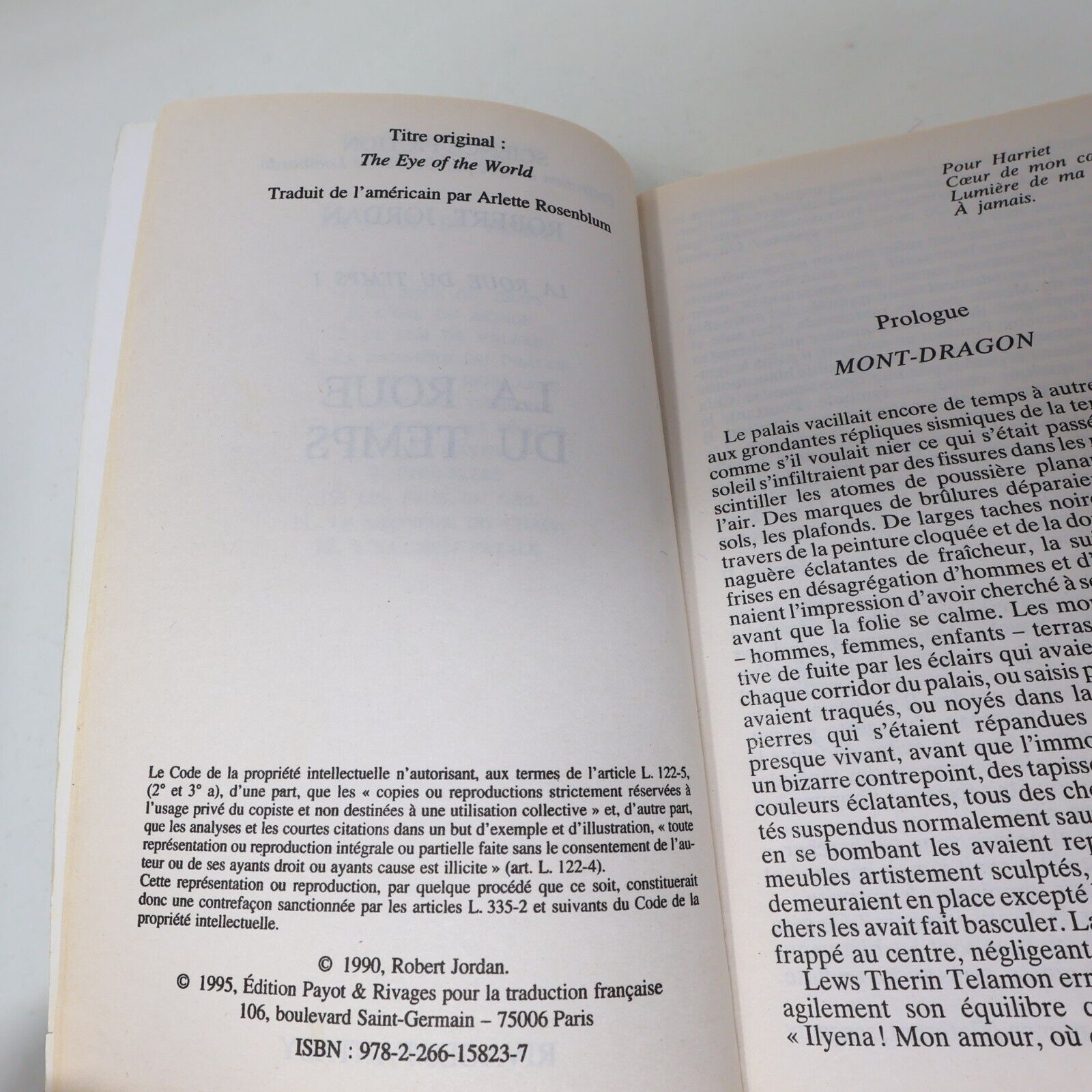 Lot 9 Livres La Roue du Temps Robert Jordan Pocket/France Loisirs Book Français