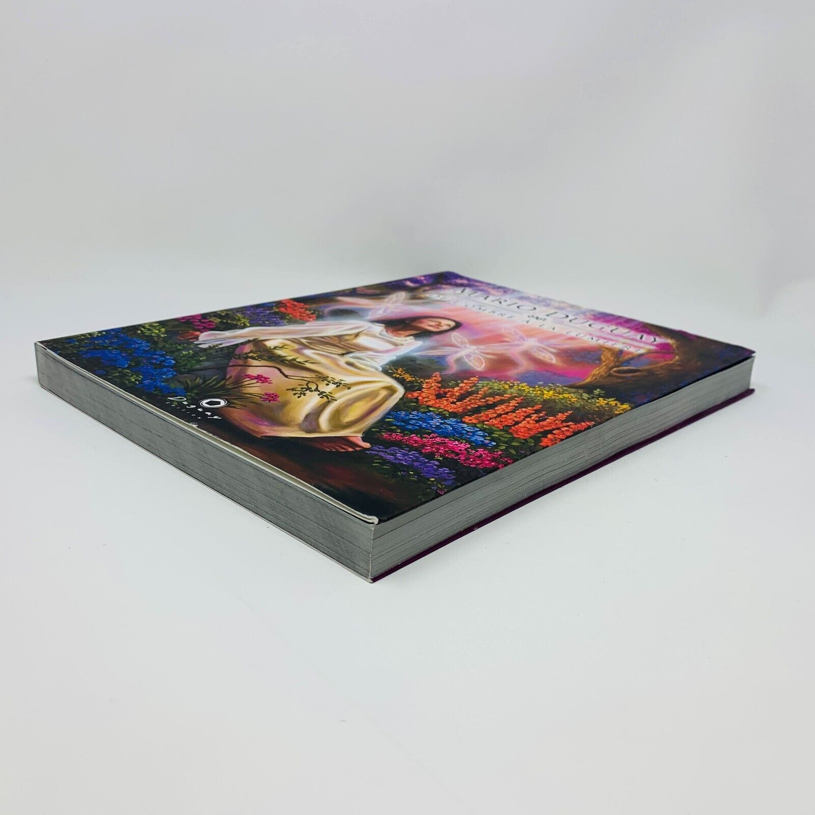 2012 Mario Duguay De l'Ombre à la Lumière Illustrations Peintures Français Livre
