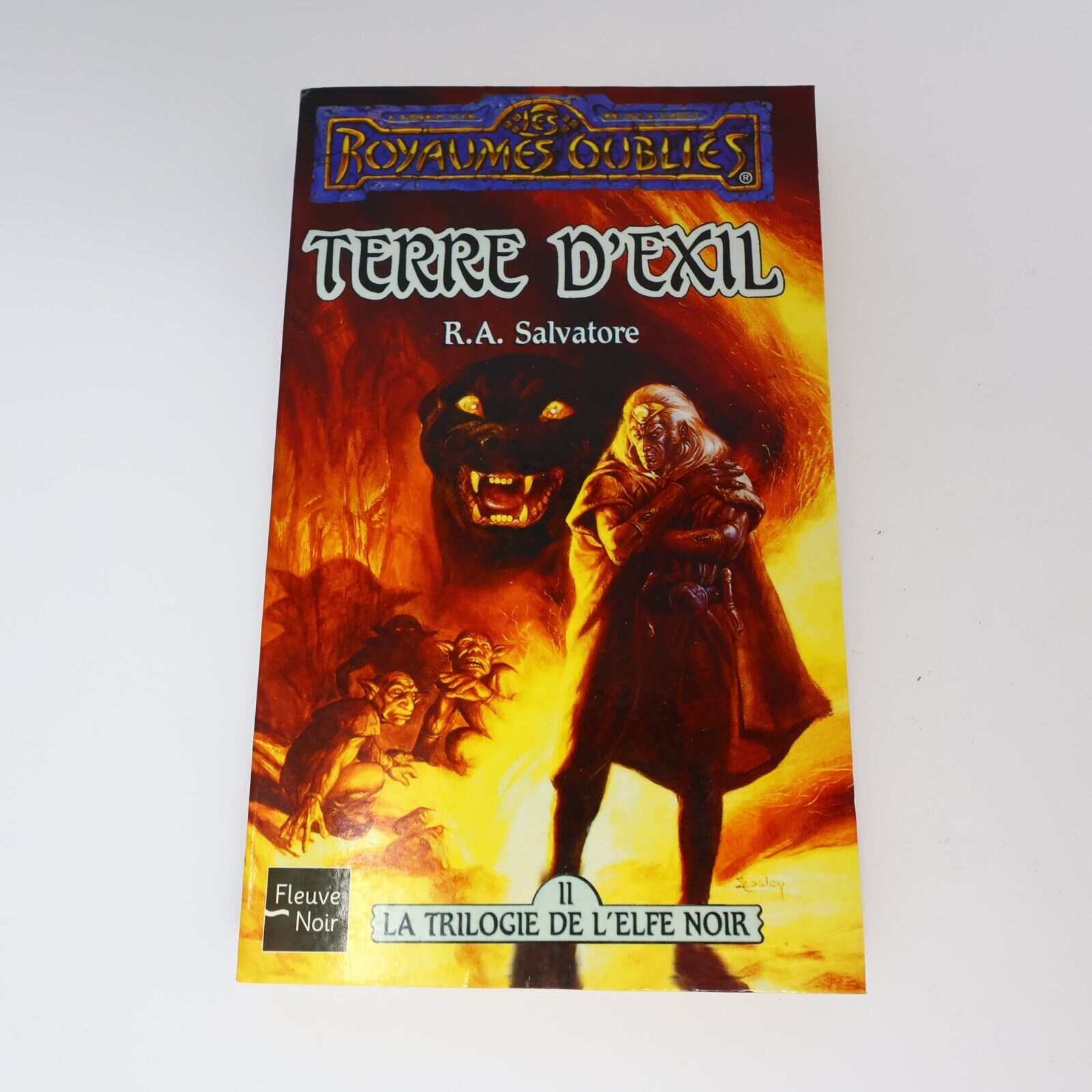 1990 Terre d'Exil Royaumes Oubliés #5 de R. A. Salvatore Forgotten Realms PB 90s