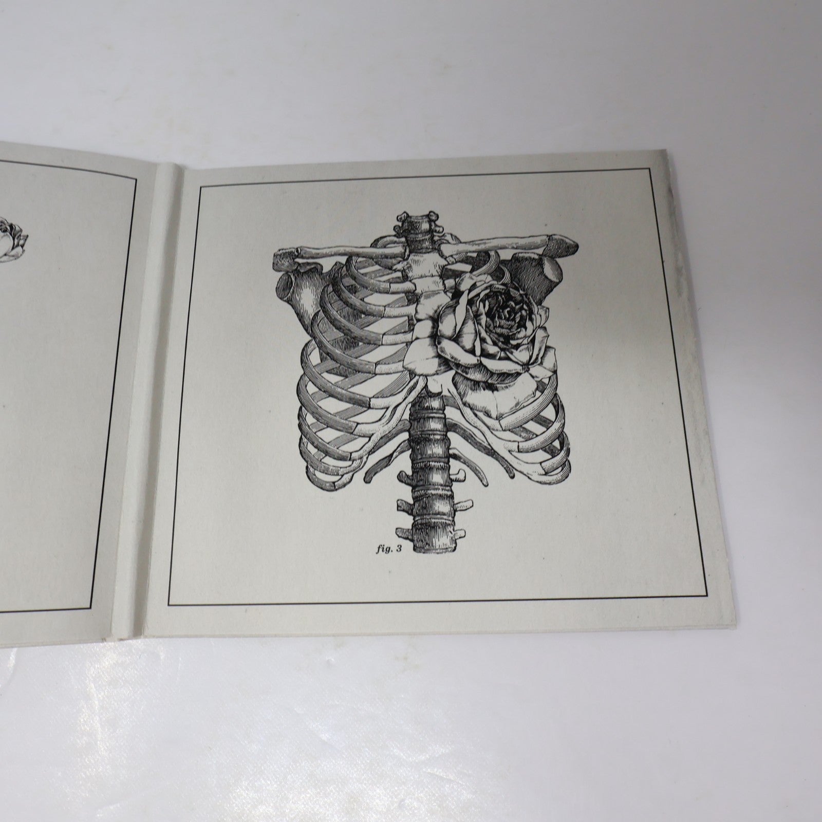 Cœur De Pirate Trauma CD Chansons de le Série Télé 2013 Dare To Care Records